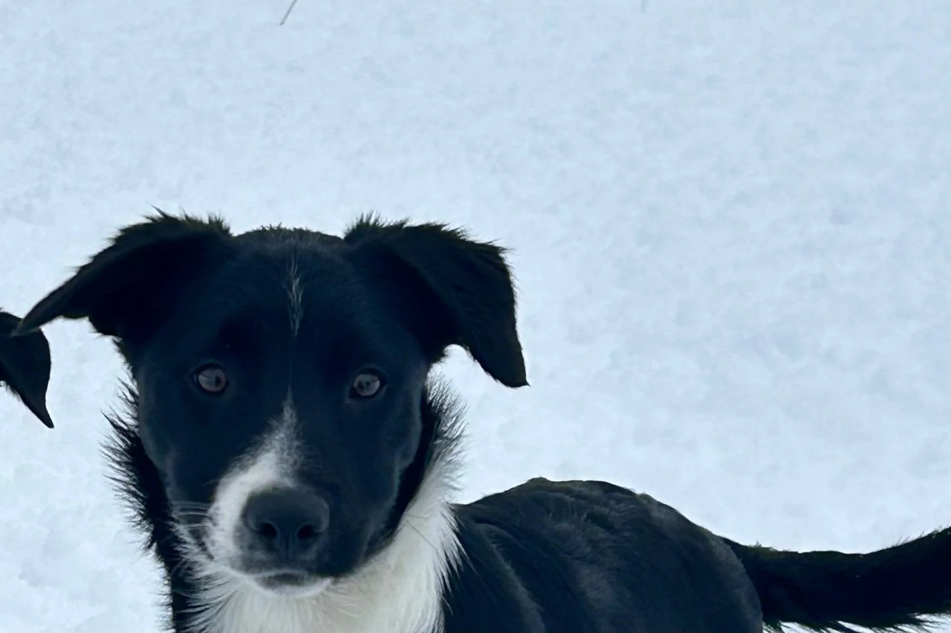 WhatsApp Image 2026-02-23 at 12.41.27 PM (1).jpeg