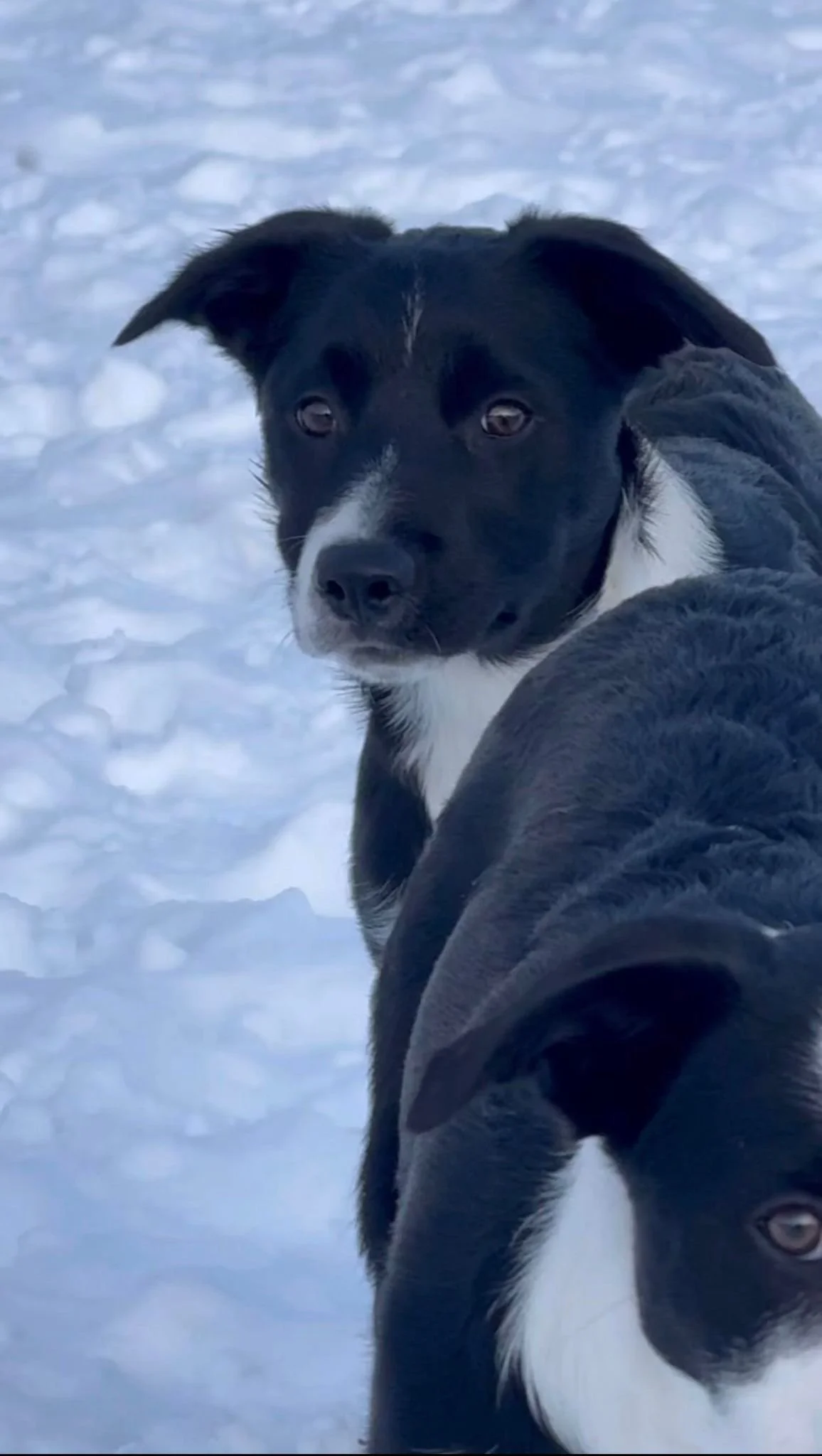 WhatsApp Image 2026-02-23 at 12.41.19 PM.jpeg