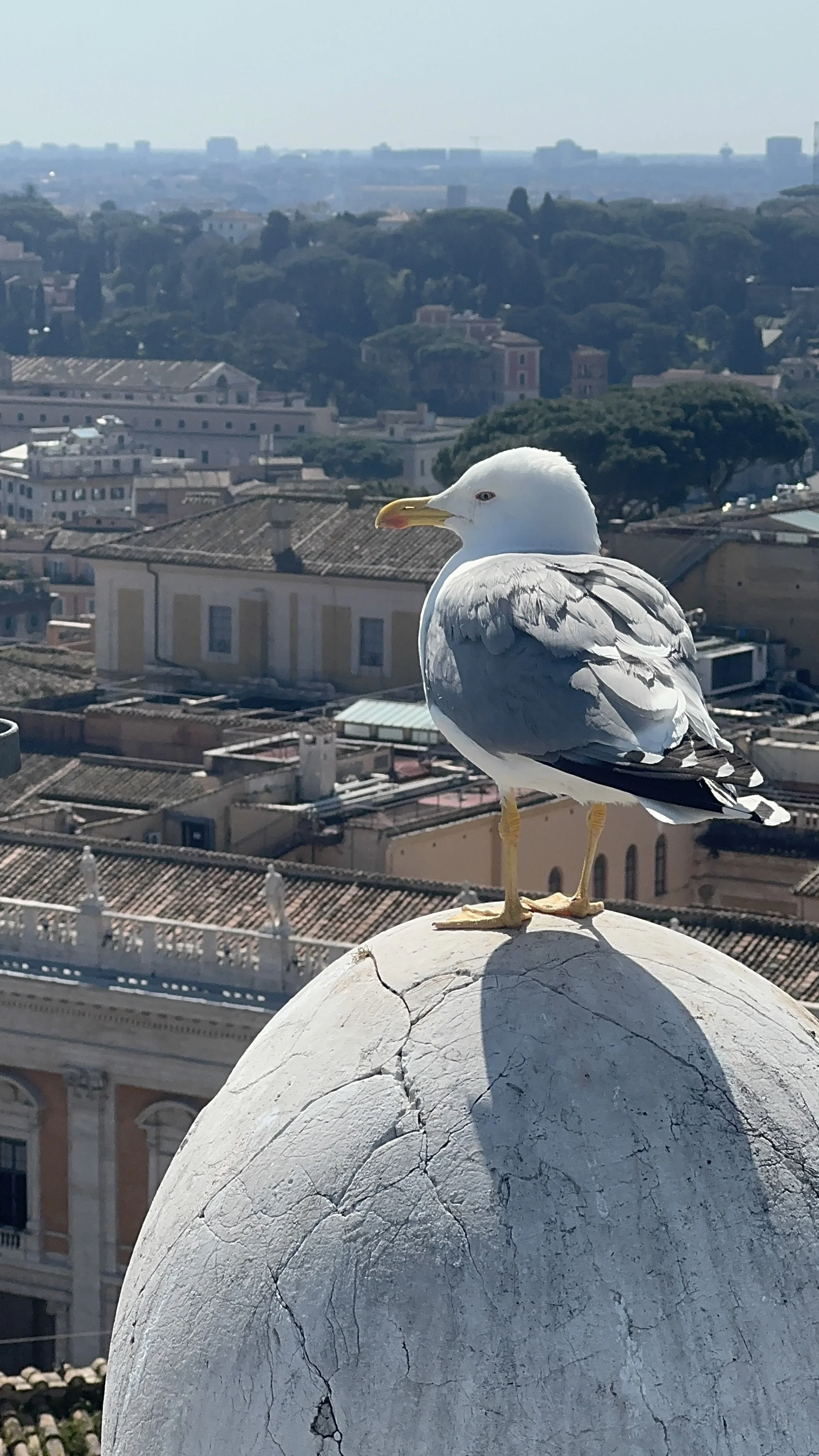 IMG_8355 2.jpg