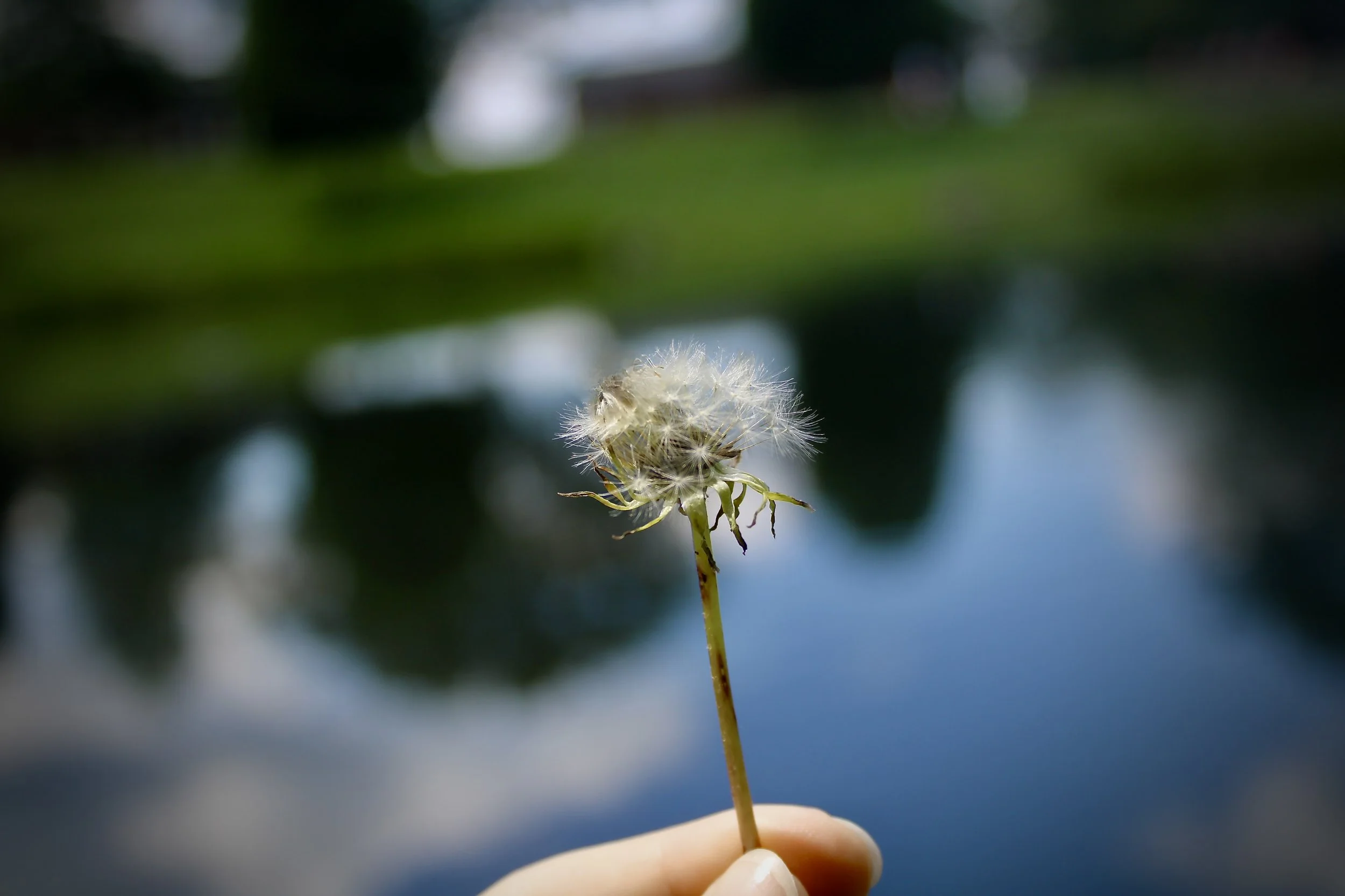 558E309B-8A77-41B2-BC9B-EF68C0C9869A_1_201_a.jpeg