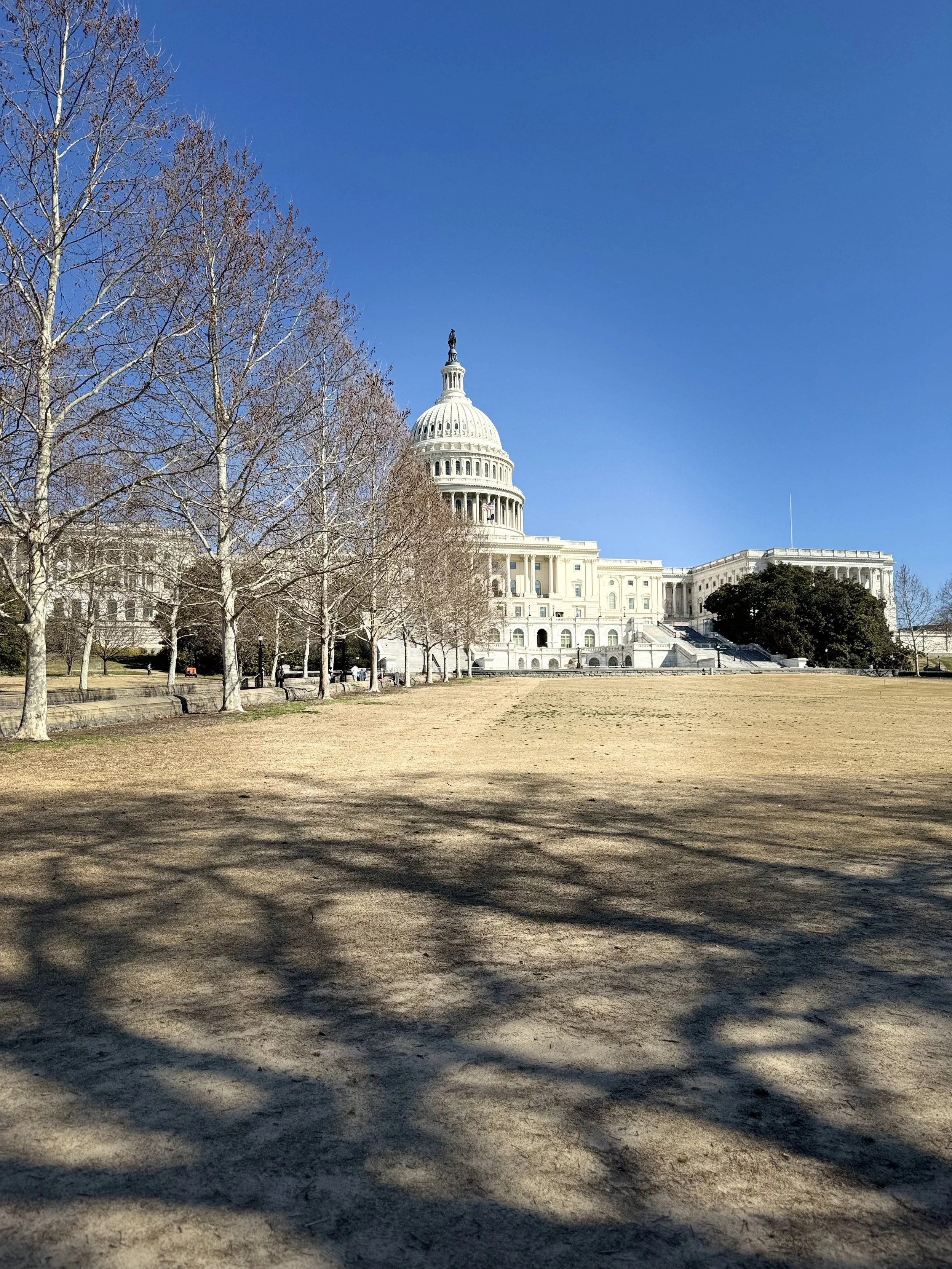 IMG_7322.jpeg