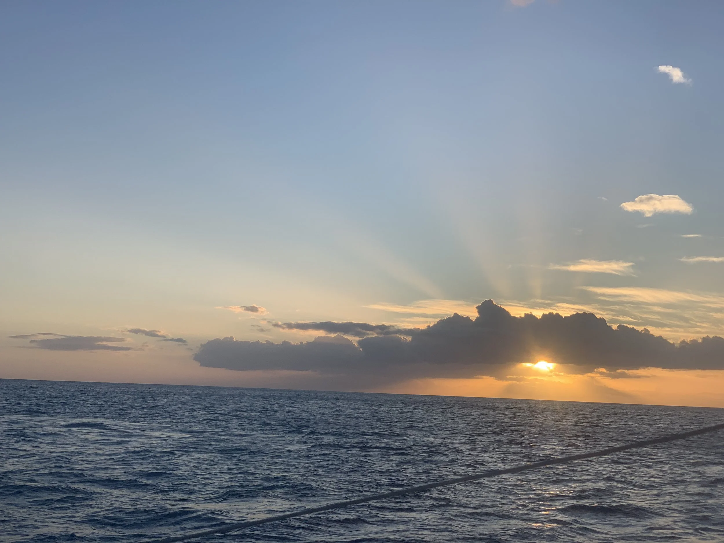 IMG_1727.jpeg