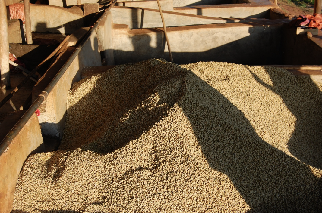 Scherm­afbeelding 2026-03-06 om 17.46.38.png