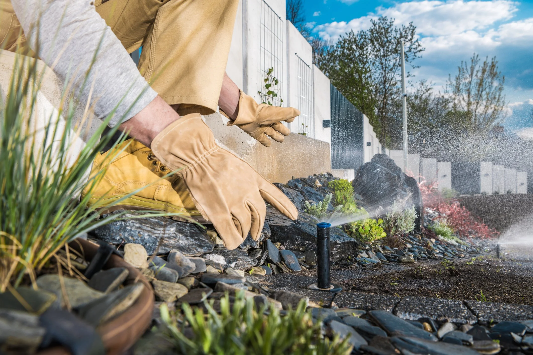 Person watering a garden with a hose near a modern house with white walls, trees in the background, and a bright sky.