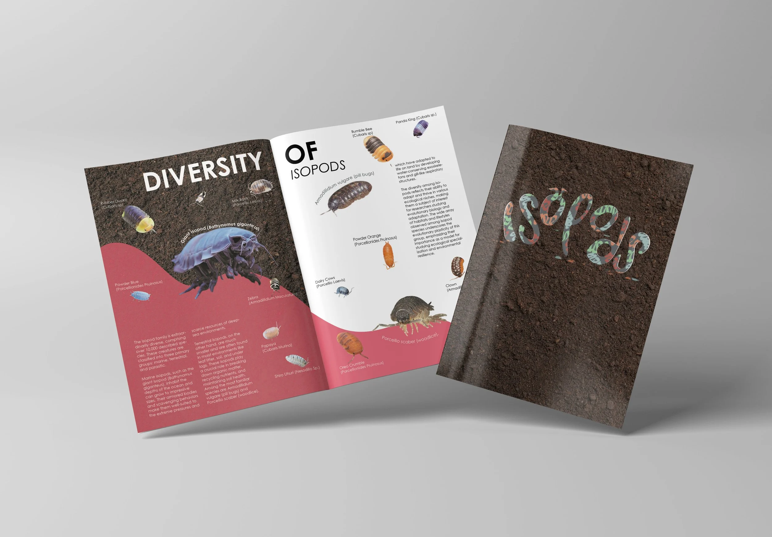 Isopod Magazine - Design Systems - 2025