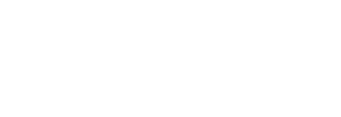 Rooted Search Value Partners