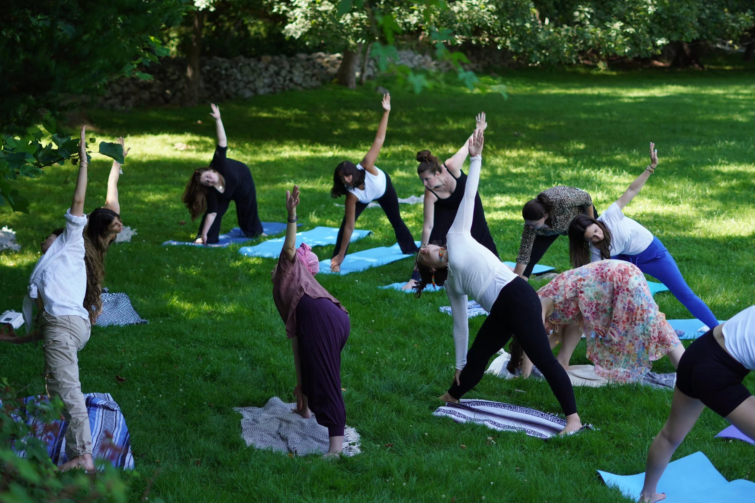 Group of women doing yoga outdoors on a grassy field surrounded by trees, with yoga mats laid out, practicing different poses.