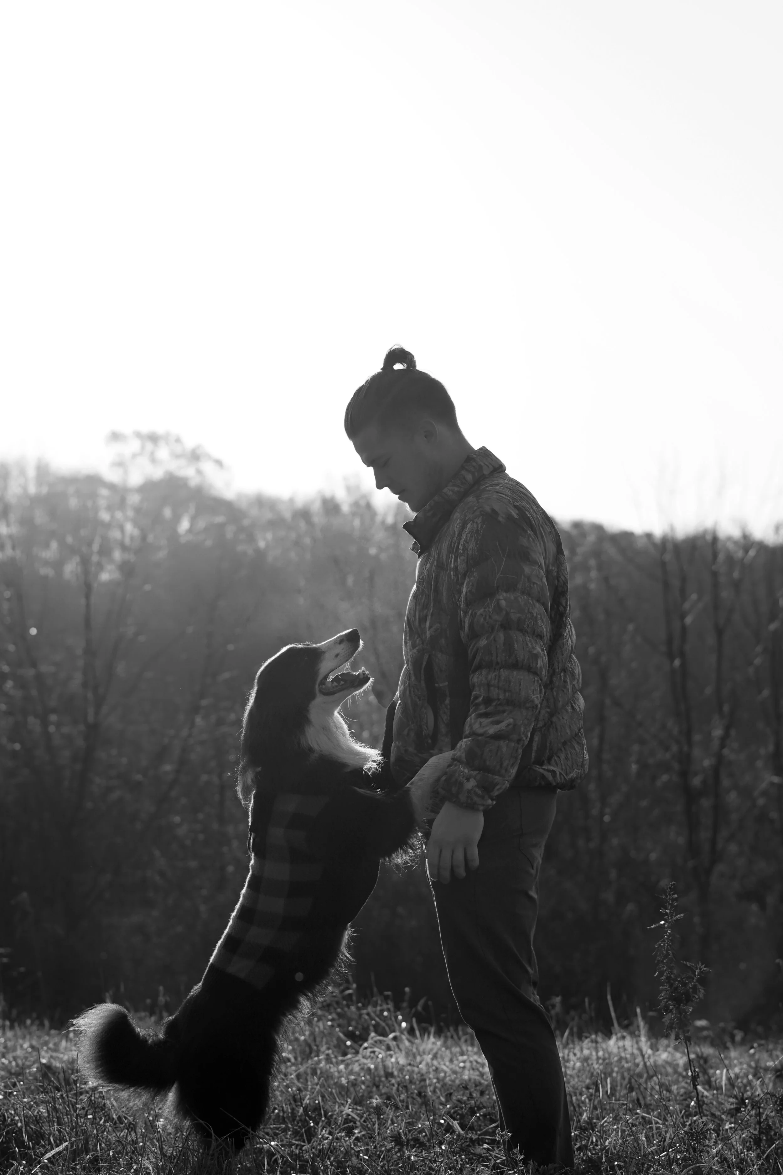 A person and a dog facing each other outdoors during sunset, with the dog standing on its hind legs and the person holding the dog’s paws.