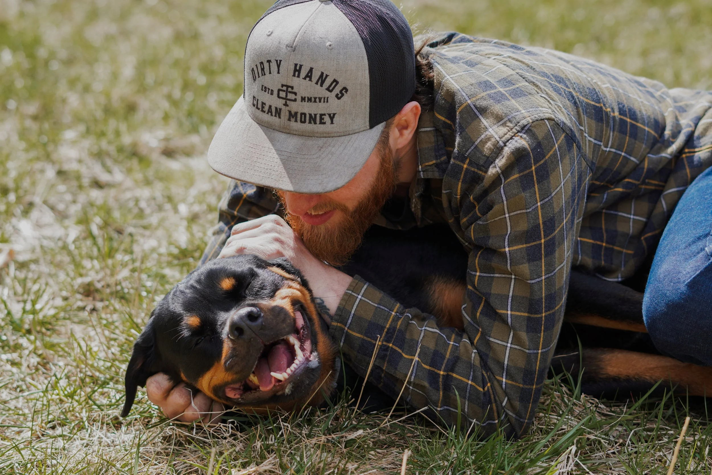 A man with a beard wearing a gray cap and a plaid shirt is lying on the grass, playing with a happy Rottweiler dog. Vintage dog photography