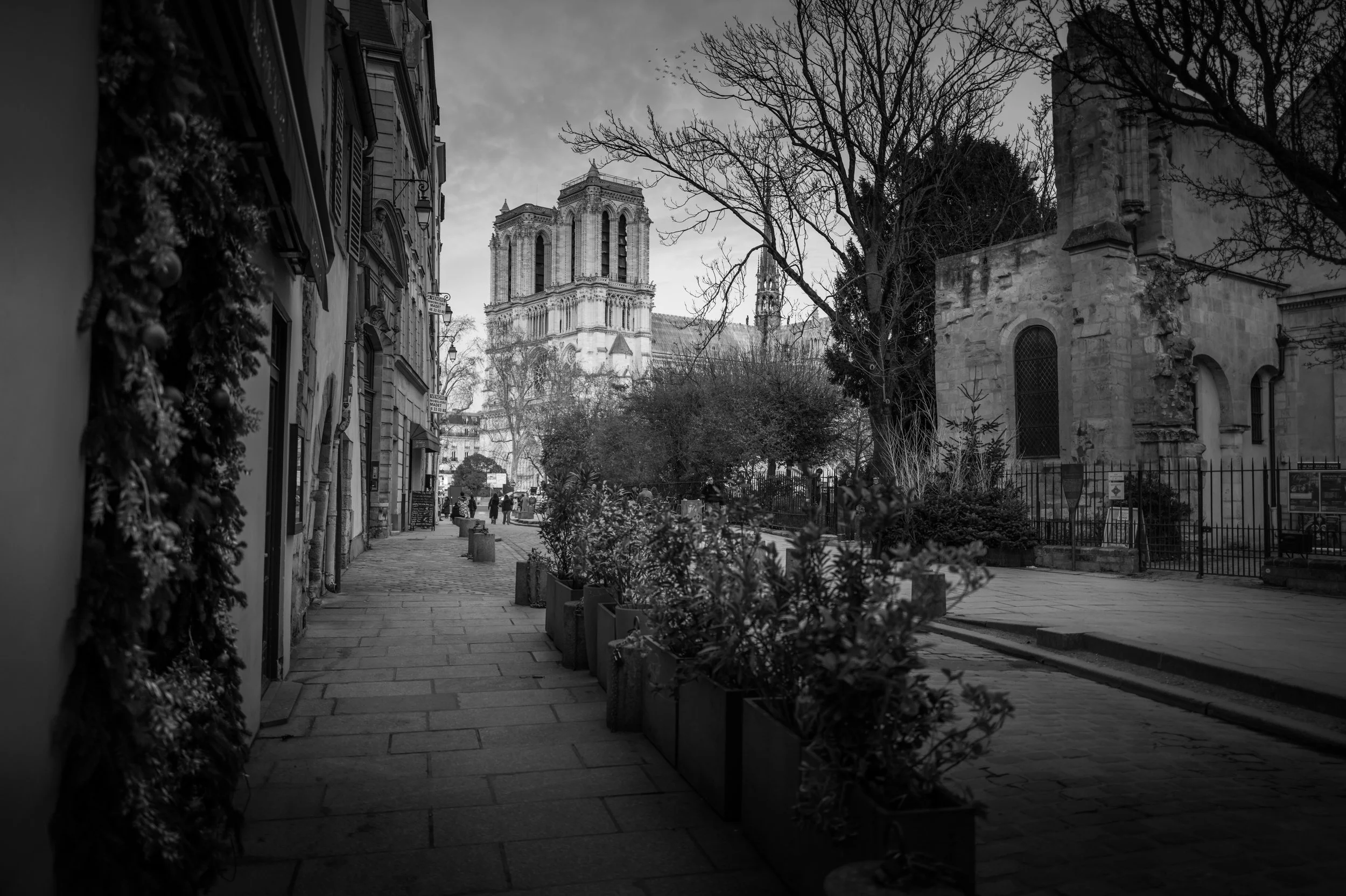Cathédrale Notre-Dame de Paris