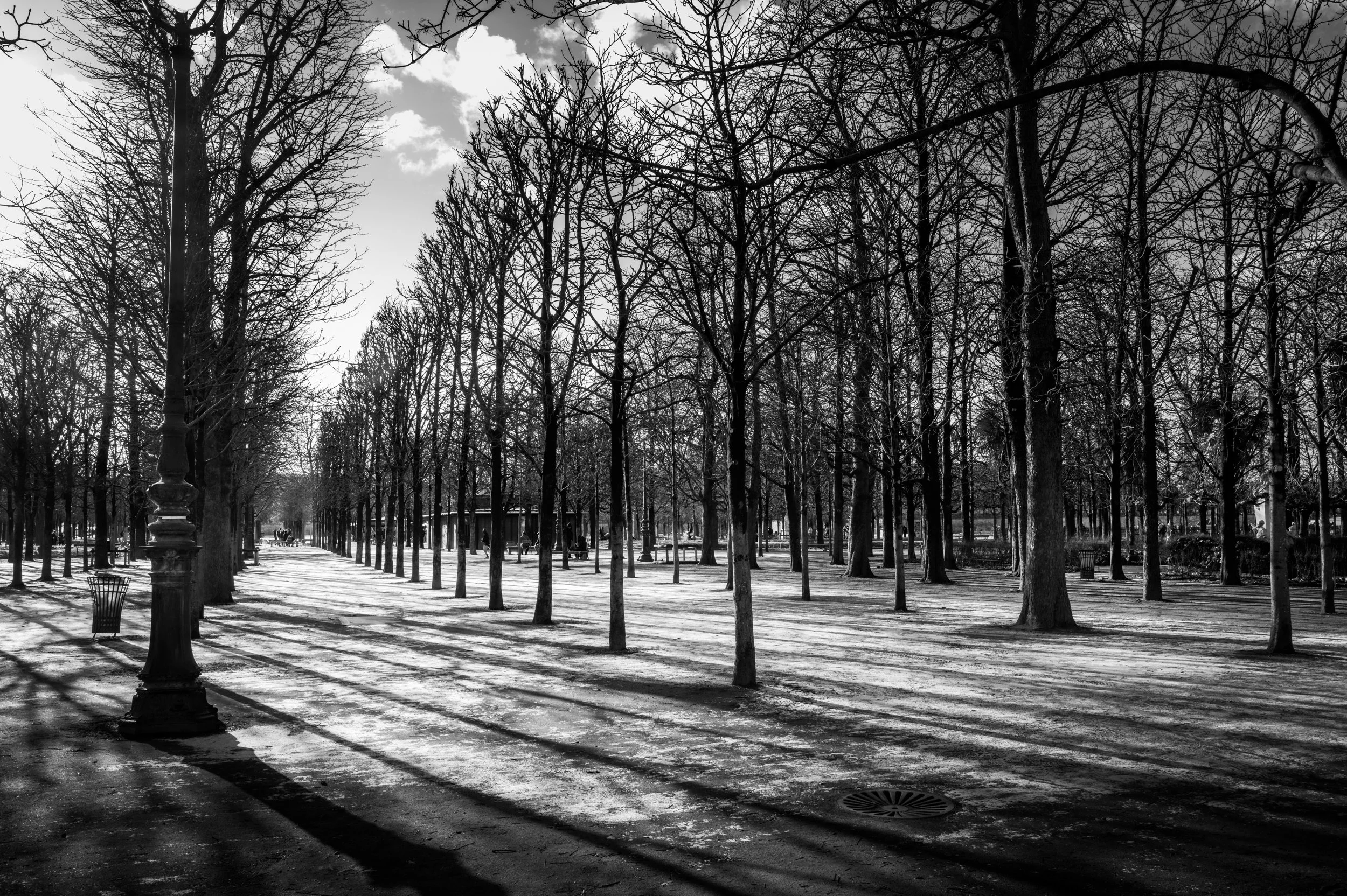 Le Jardin des Tuileries