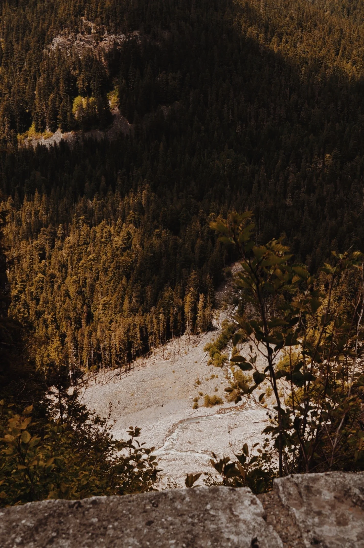 9E962E98-9C6F-4AC1-BB2C-4B5F6D614894 2.JPG