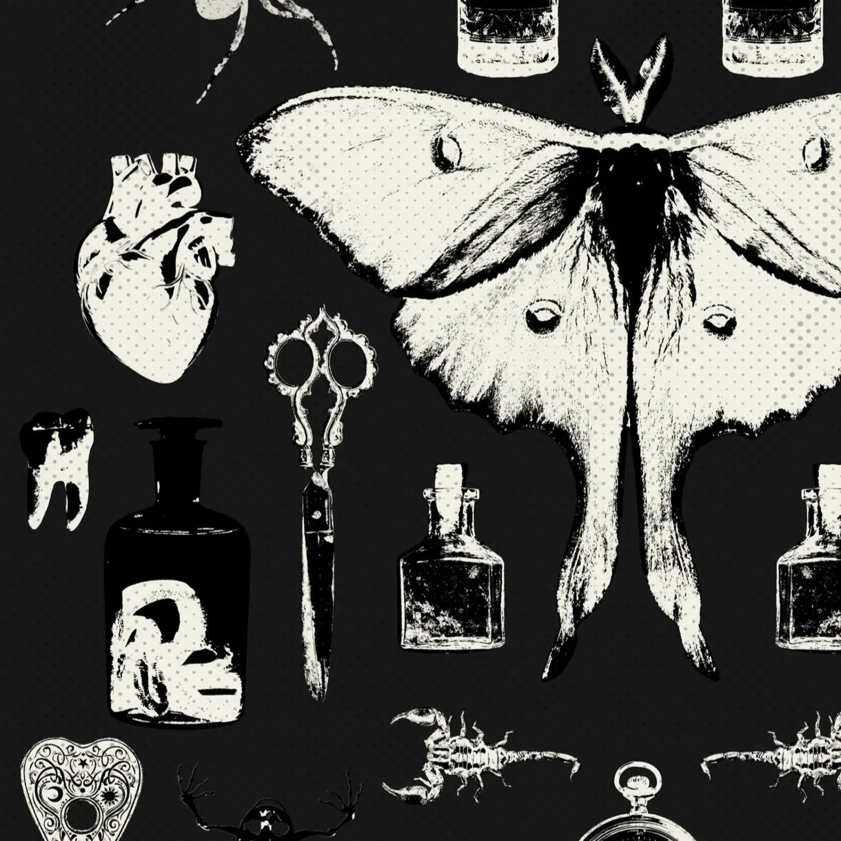 The Oddities & Curiosities Expo