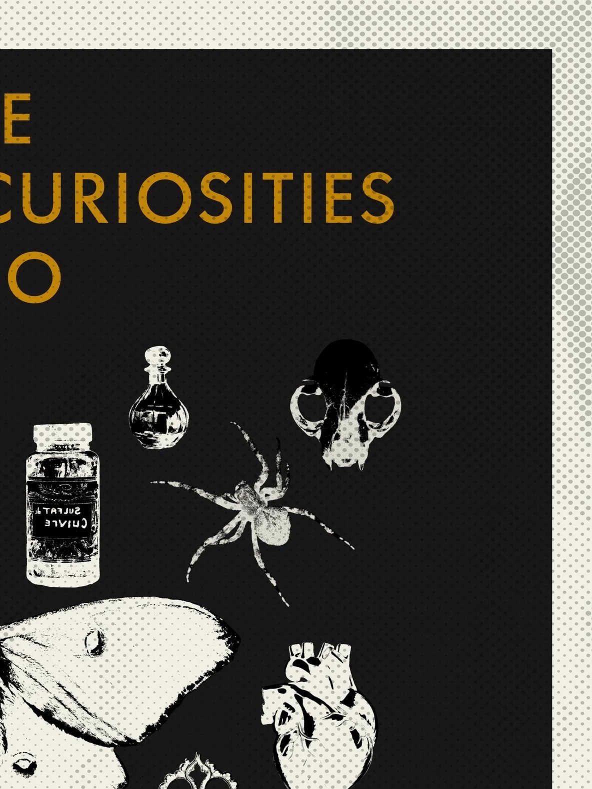 THE ODDITIES & CURIOSITIES EXPO