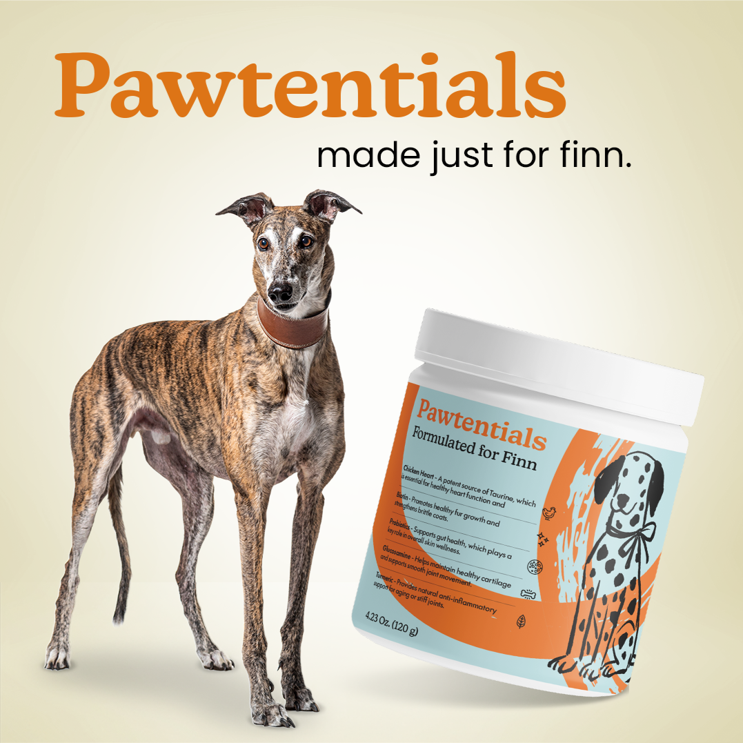 Pawtentials