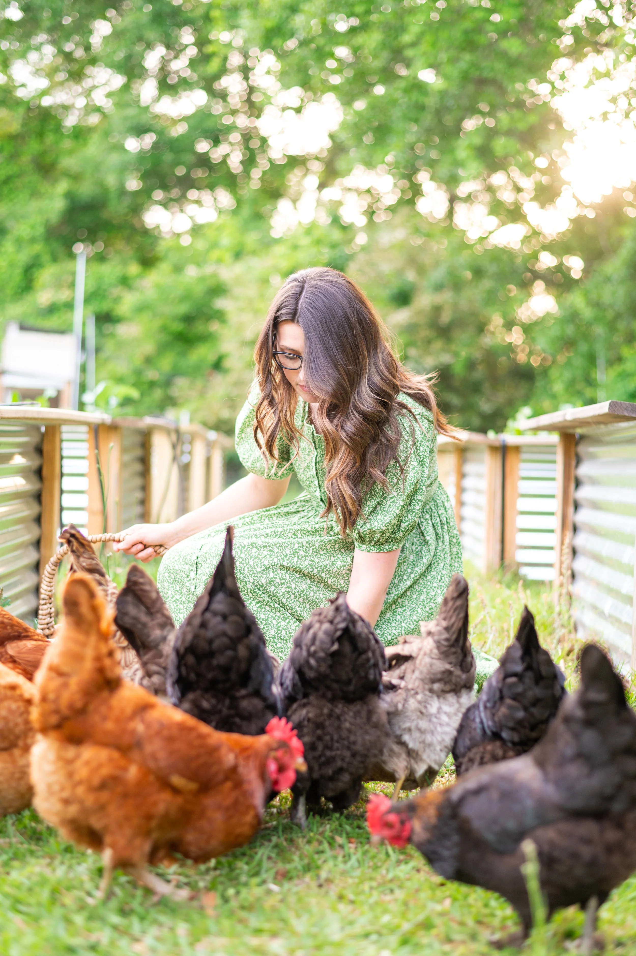 Online Chicken Processing Course