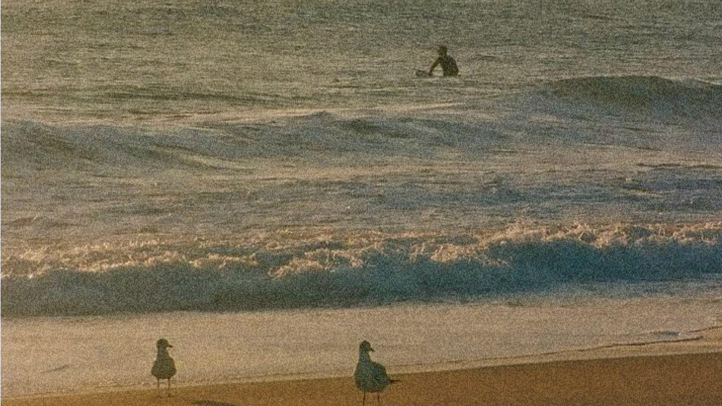 Painting of seagulls on a beach with waves in the background.