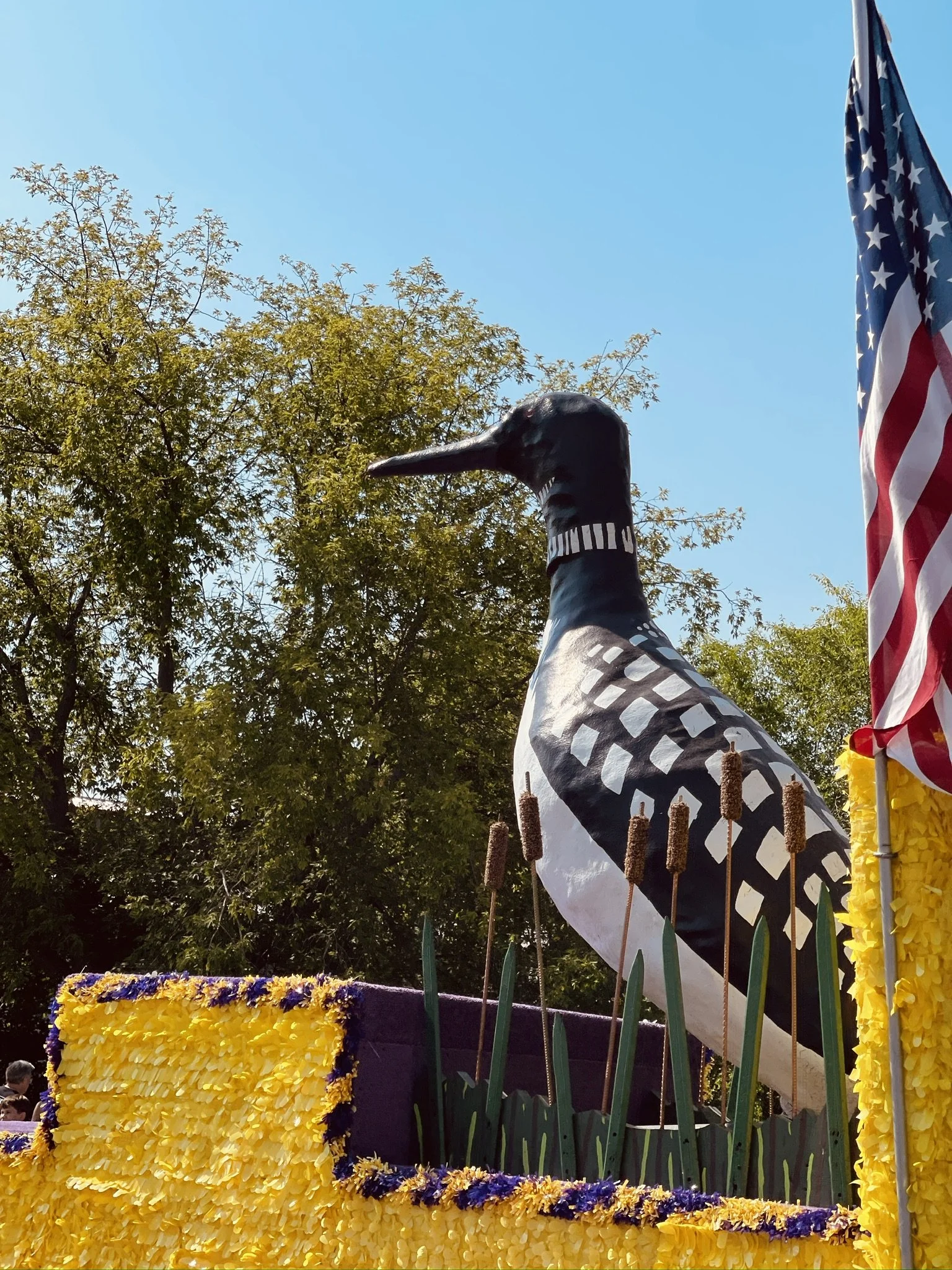 B97B80CA-2557-4674-9981-AB29D2E3D217_1_102_a.jpeg