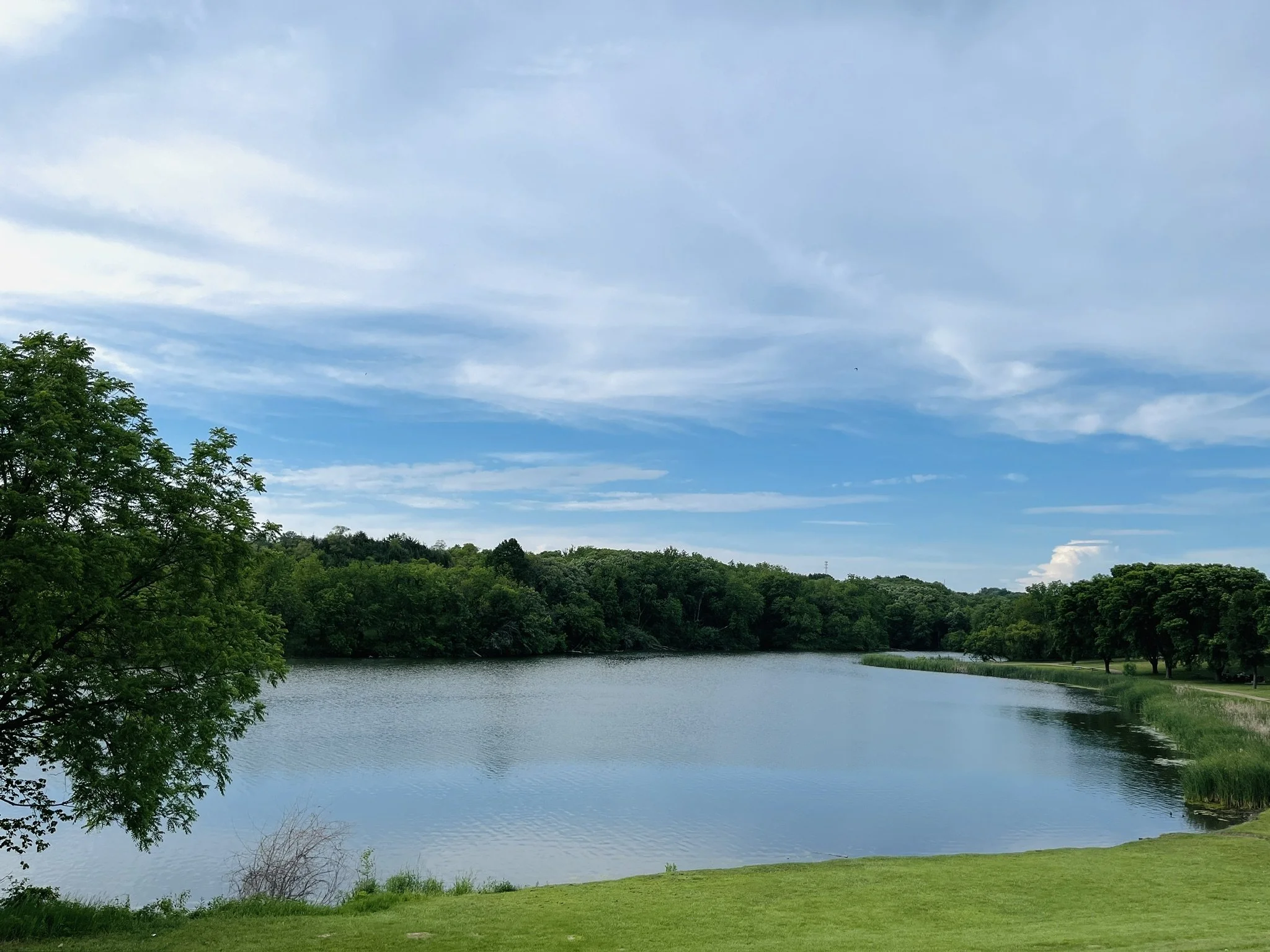 A70E7435-940D-4693-9E8E-9578EEF58FA6_1_102_a.jpeg