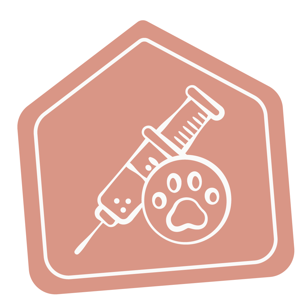 house icon with medical shot for special animal services