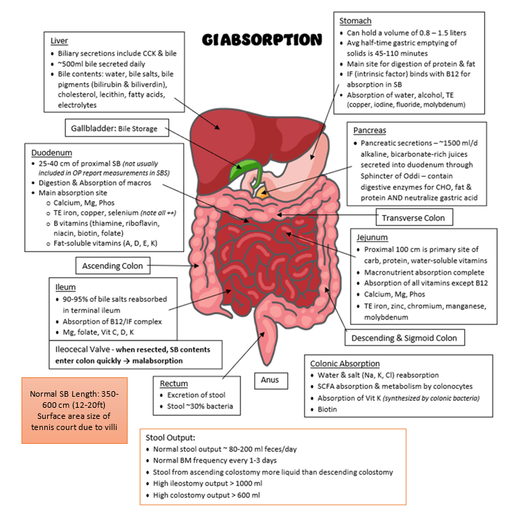 Screenshot 2026-04-07 215550.png