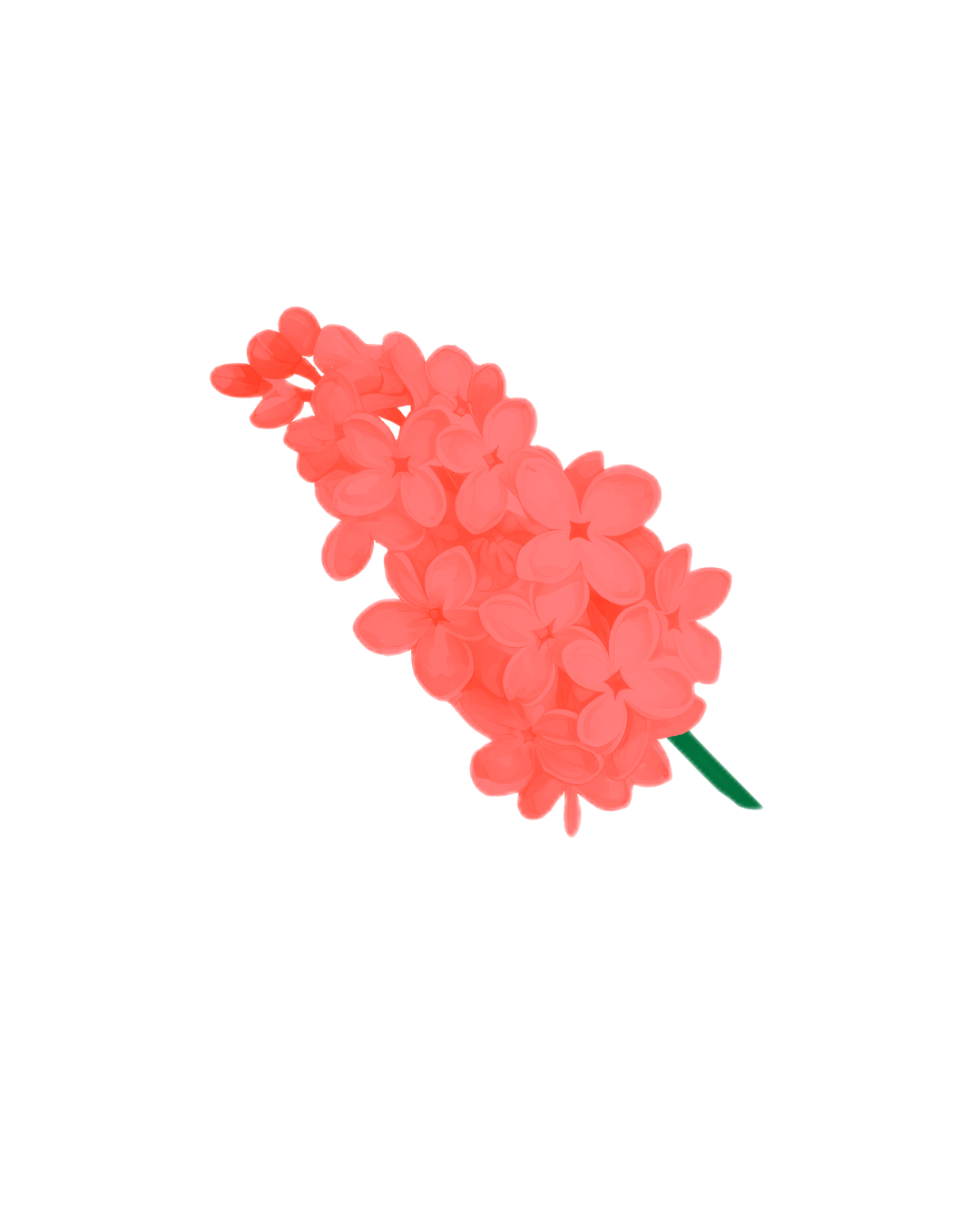 Trinidad and Tobago