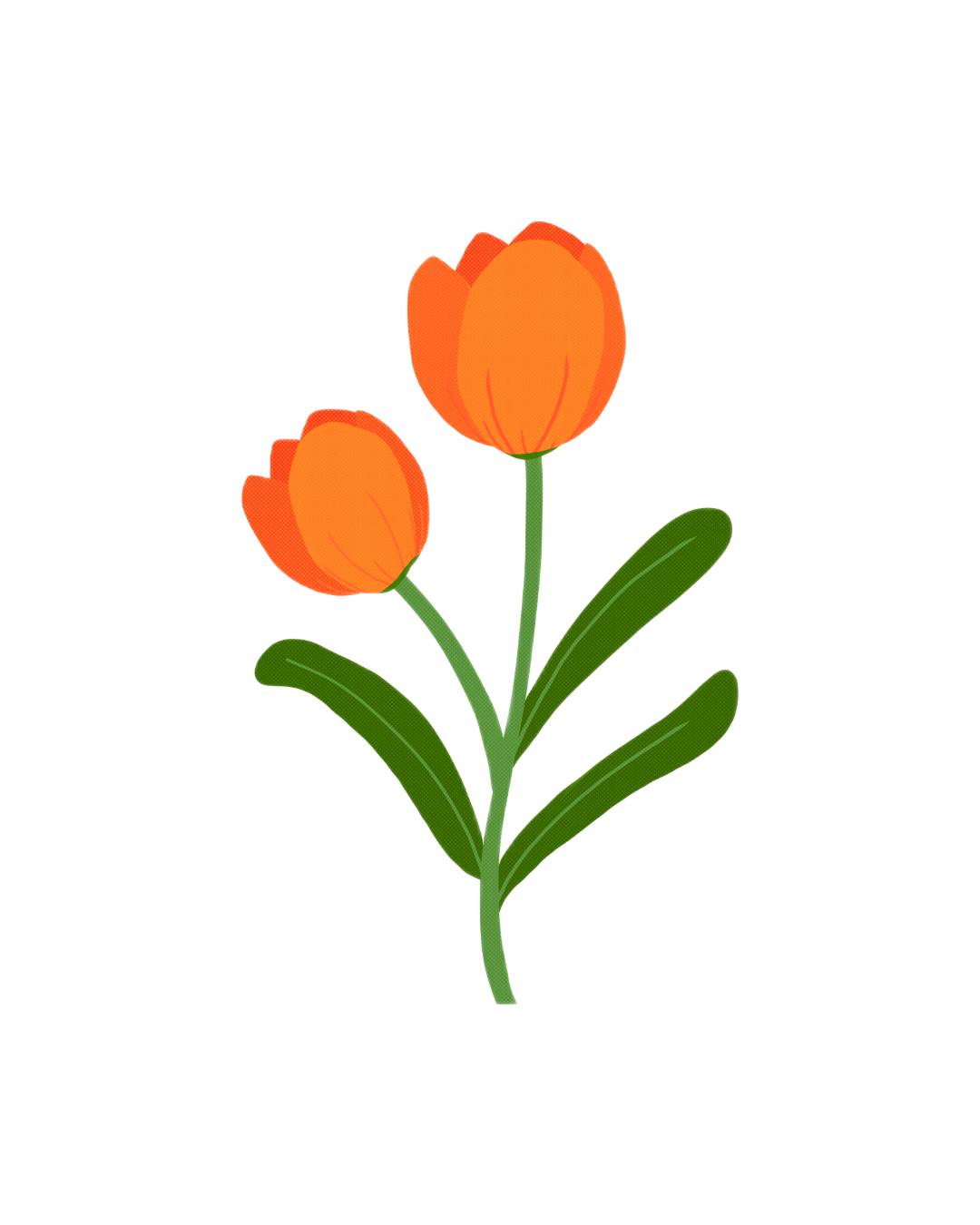 Afghanistan