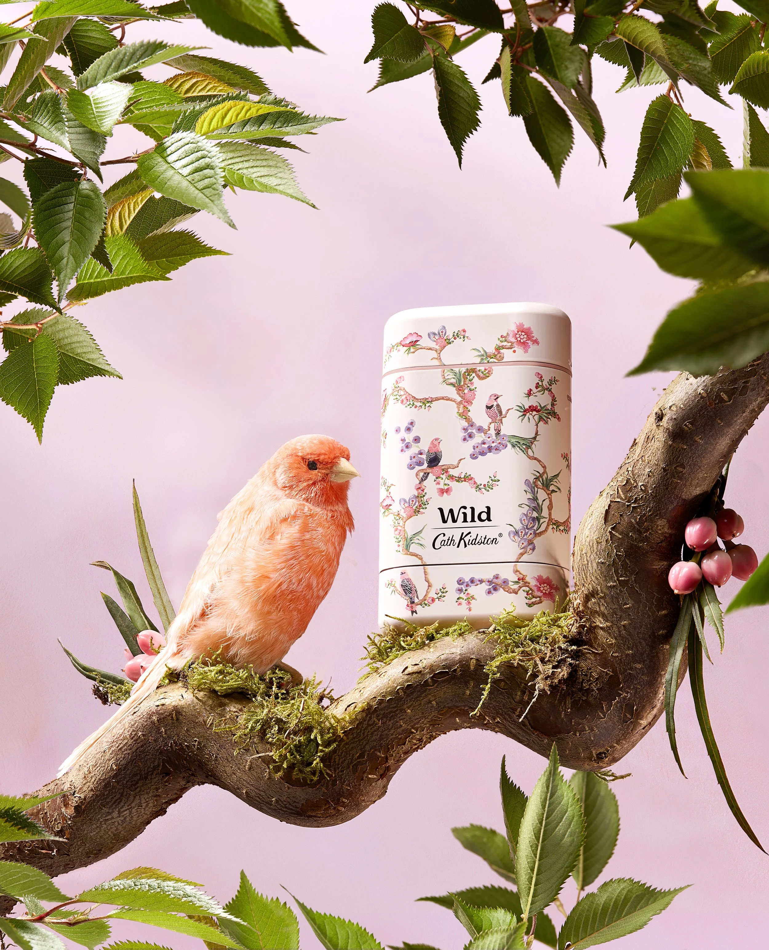 A pink bird figurine with a yellow beak and fluffy feathers perched on a moss-covered tree branch, next to a decorative rectangular box with a floral and bird pattern, surrounded by green leaves and pink berries against a pink background.
