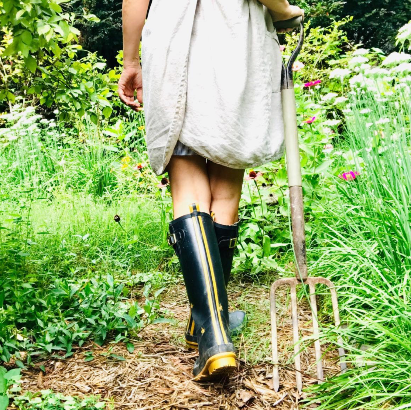 Spring: A time for New Beginnings