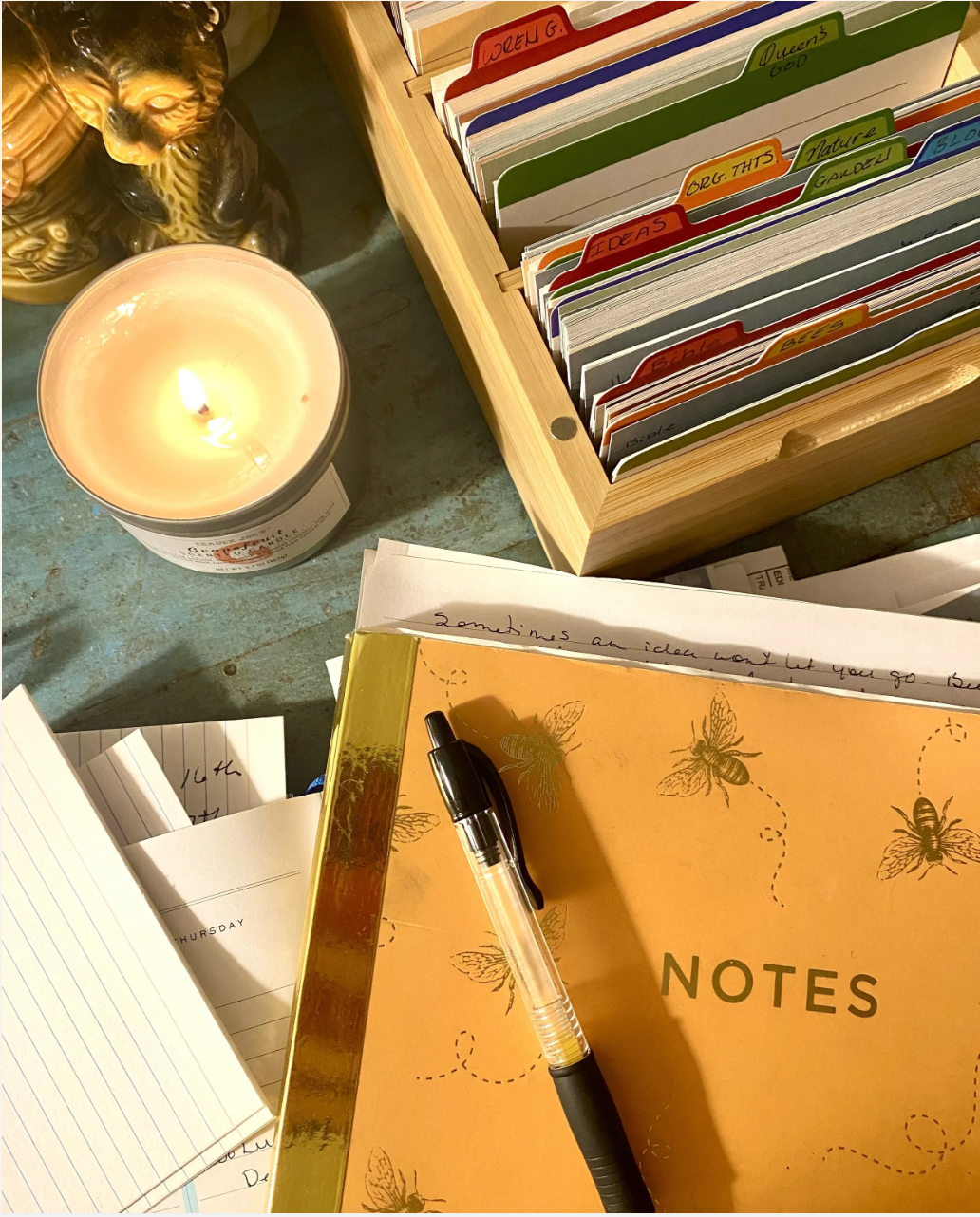 Field Notes from Real Life: Week 1