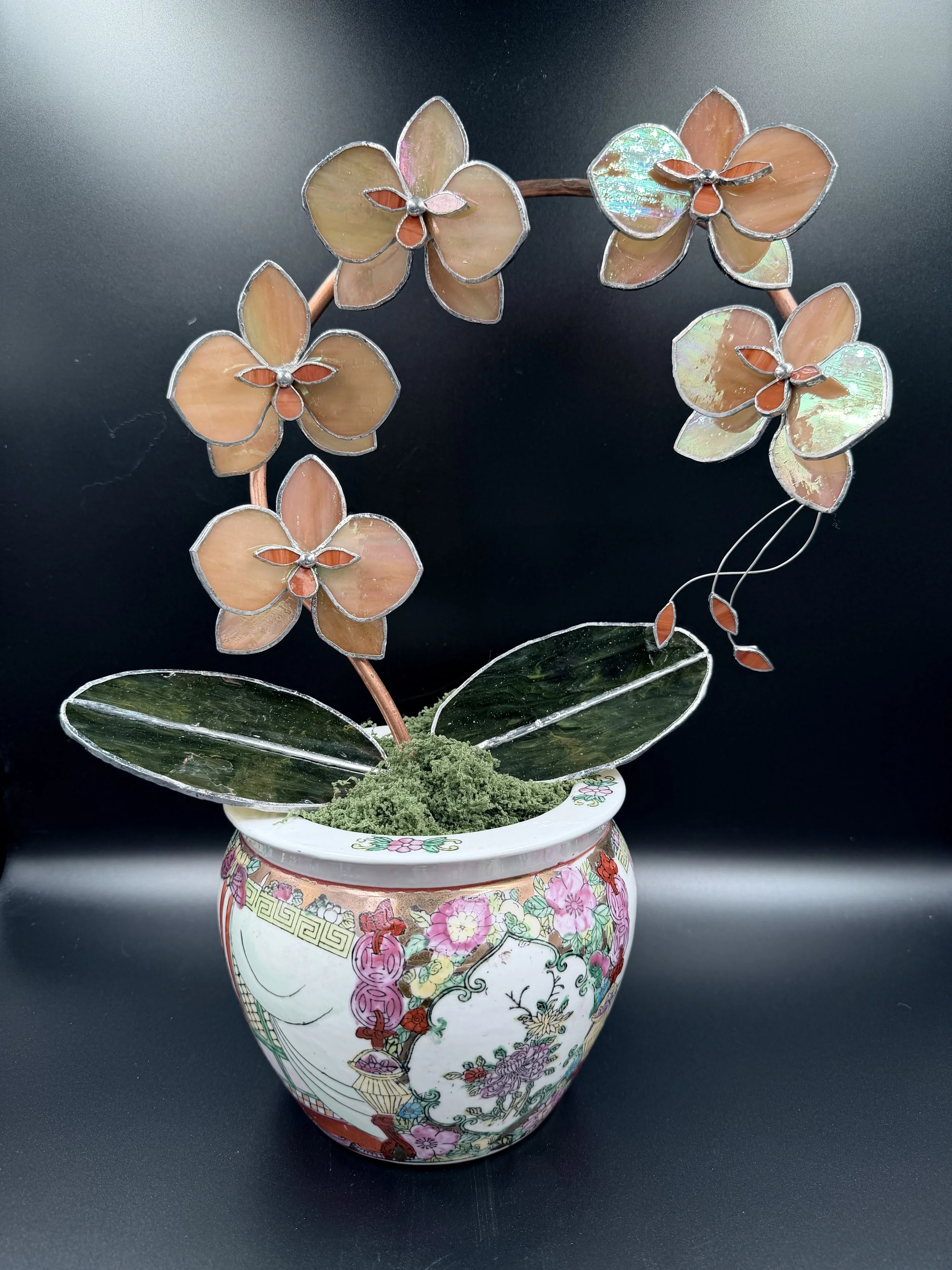 5 Blossom Iridized Amber Orchid in Chinoiserie Pot