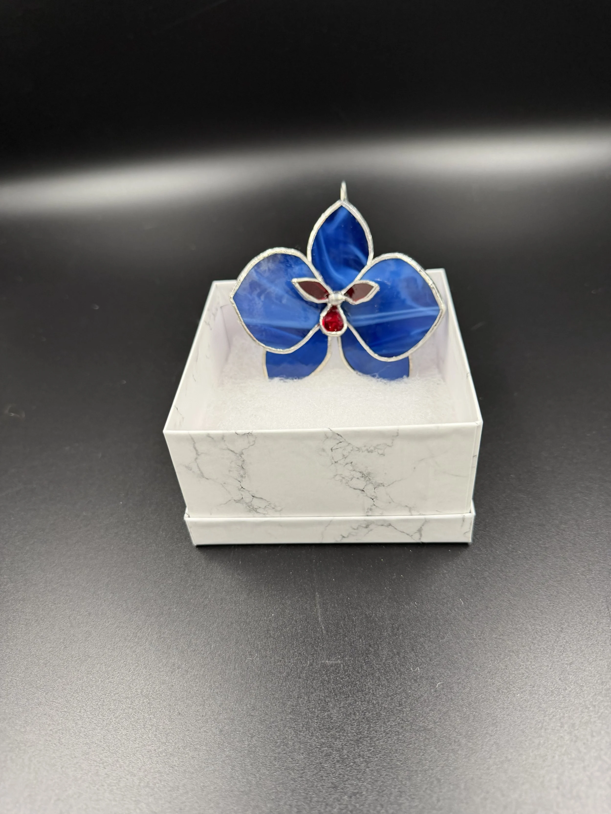 Single Orchid bloom dark blue with Red.jpeg