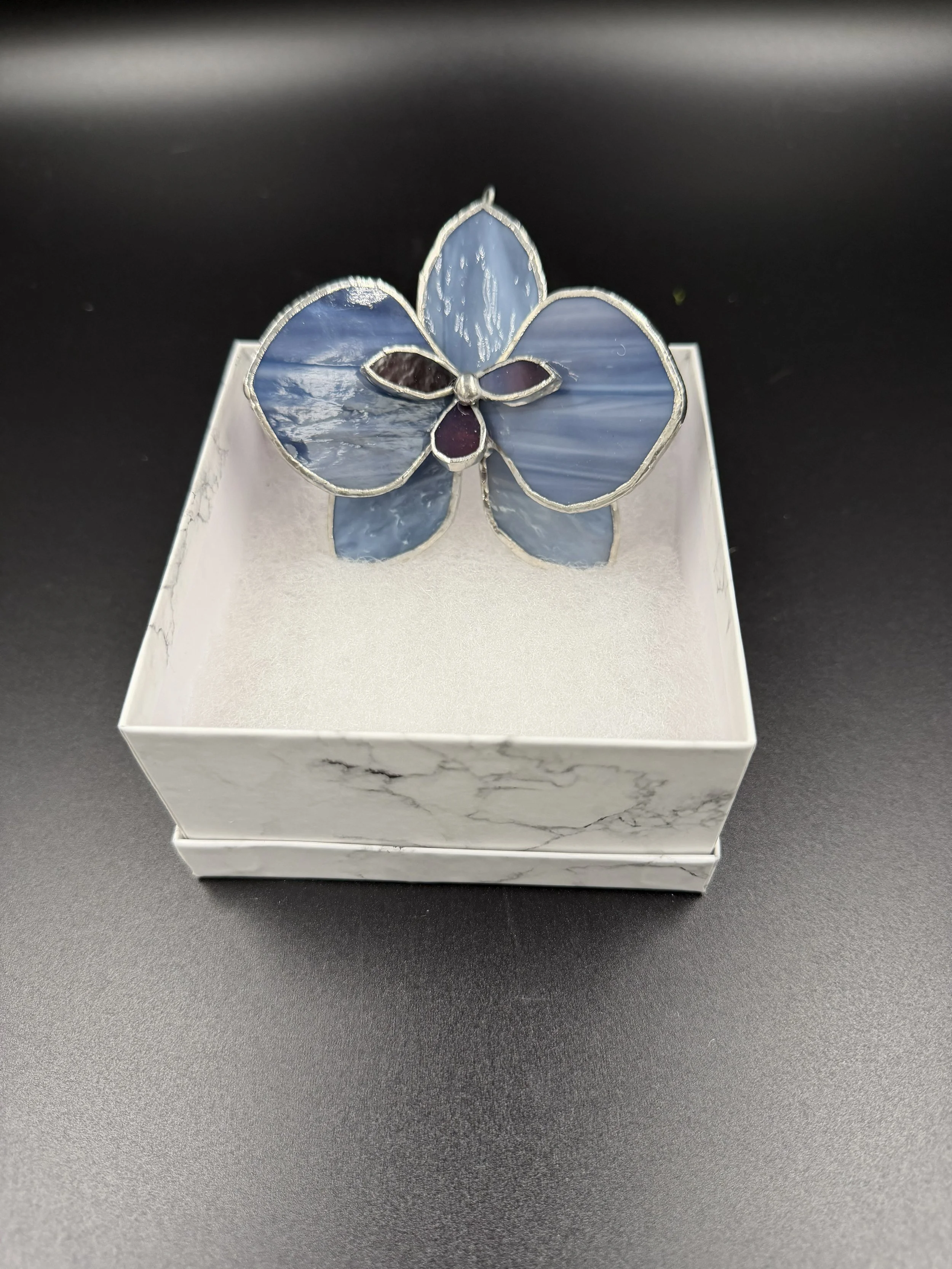 Single blossom blue yonder.jpg