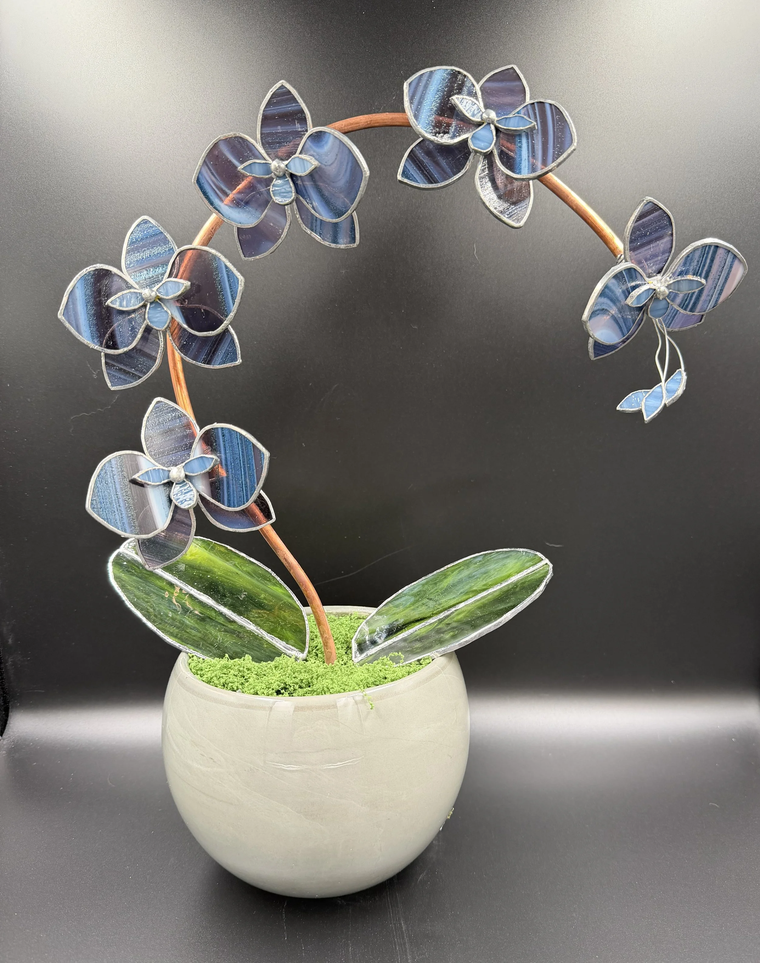 Five  Blossom Galaxy Glass Orchid
