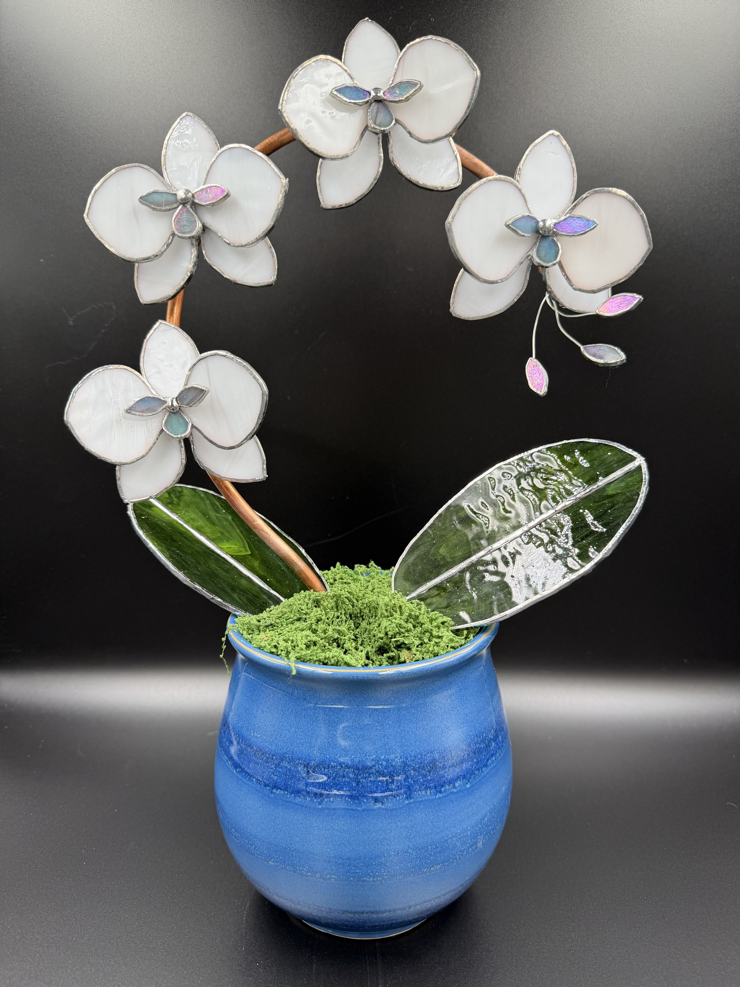 4 Blossom White In Blue Pot