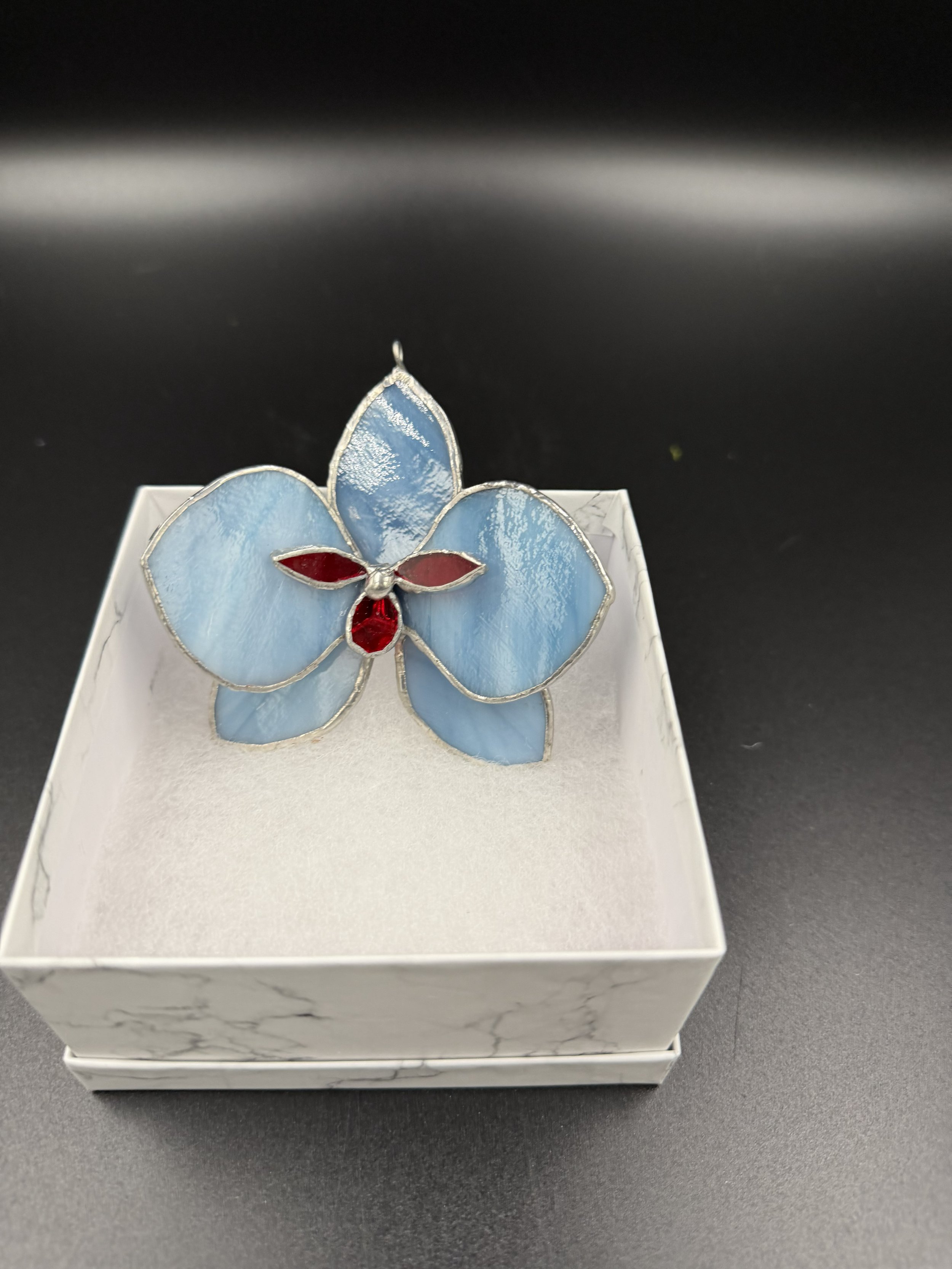 Single blossom light blue and red.jpg