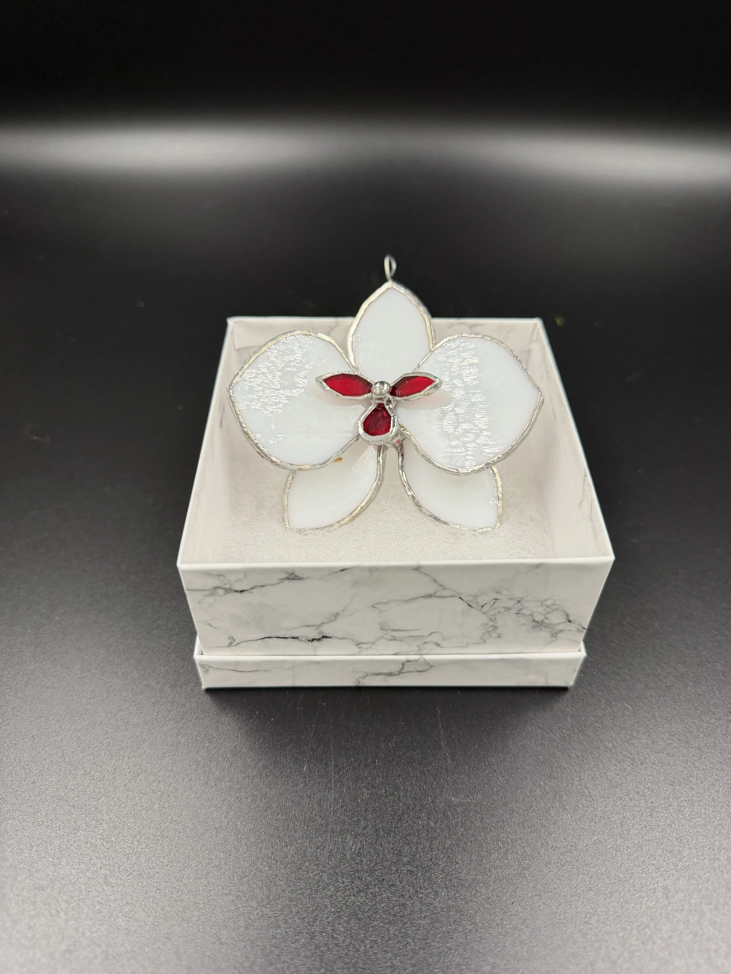 Single blossom white and red.jpg