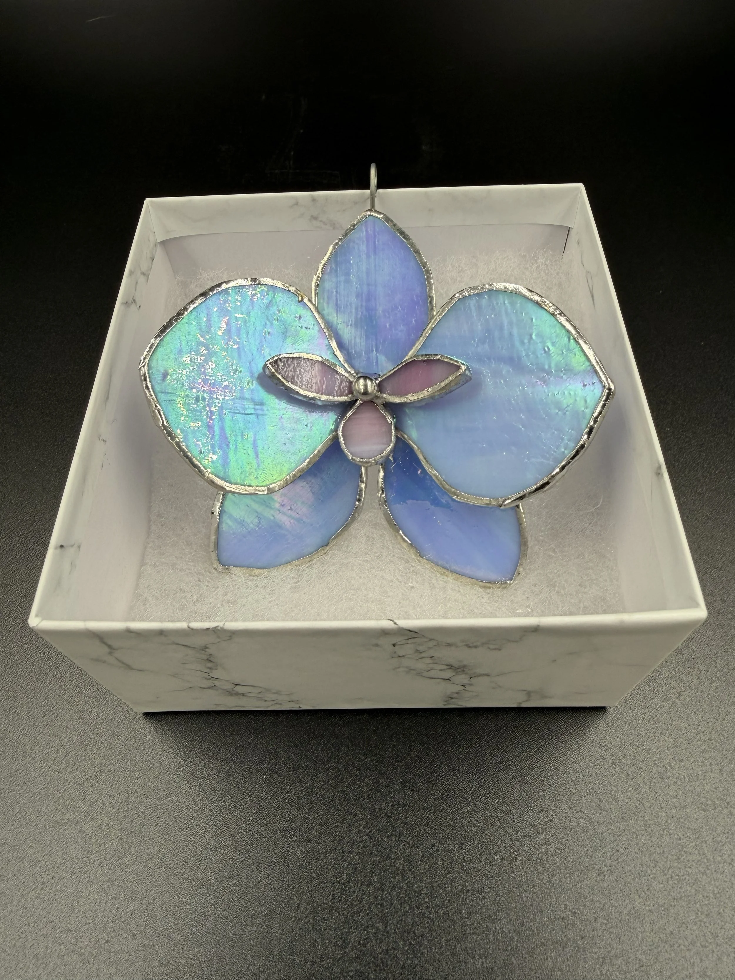 Single bloom orchid Iridized Blue