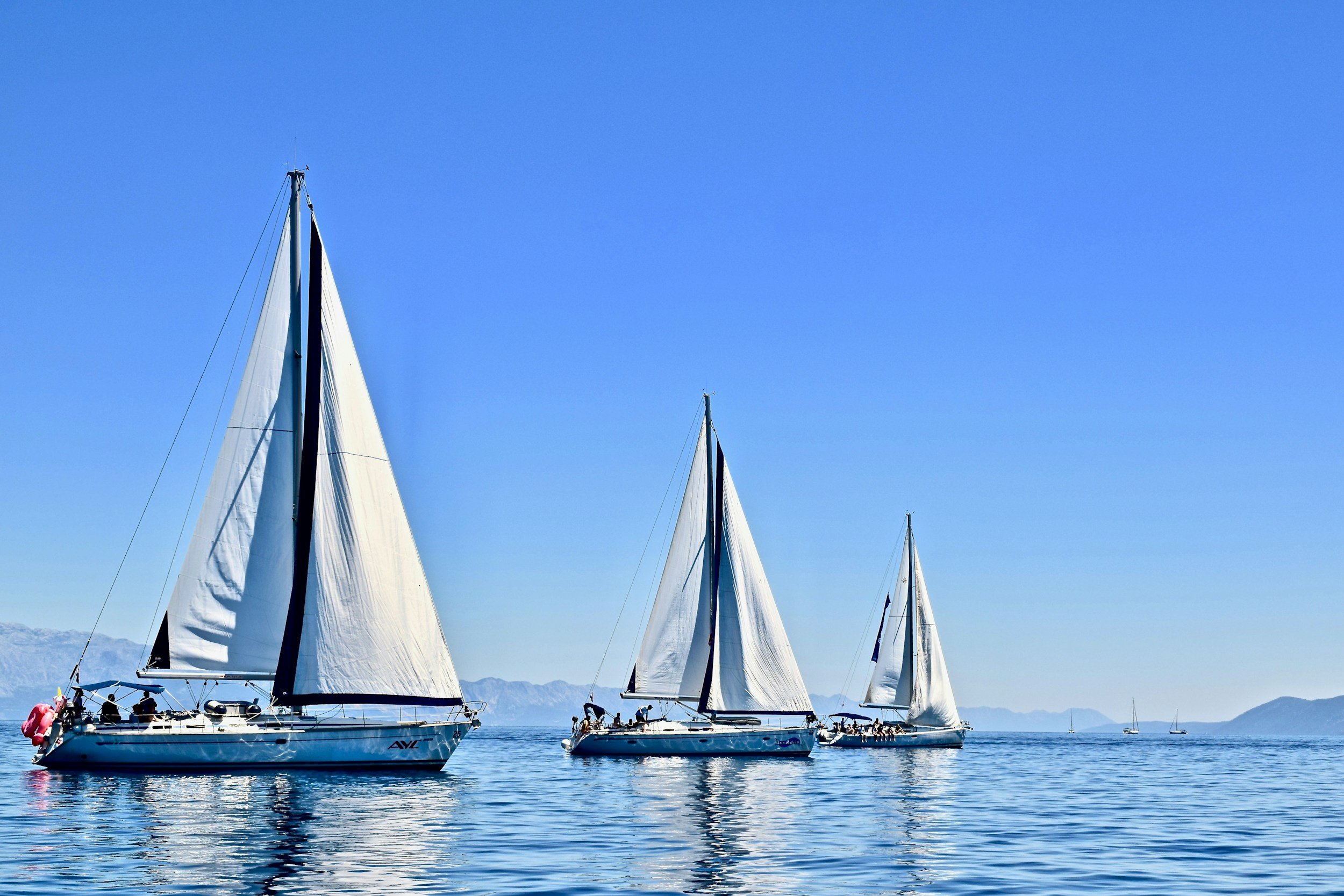 Several sailboats with white sails on calm water under a clear blue sky, with mountains visible in the background.
