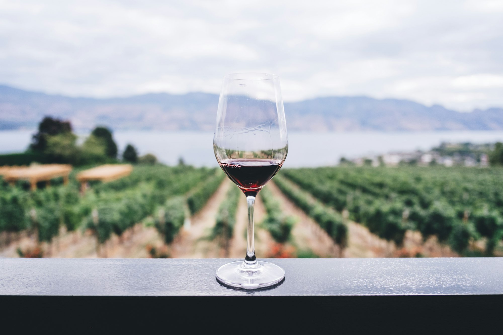 North Fork Wine & Brewery Tours