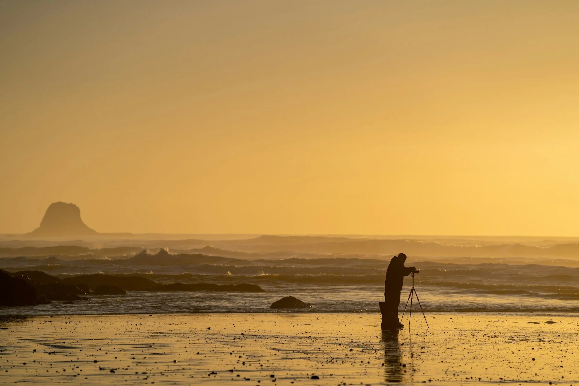Private Photography Sessions — East End