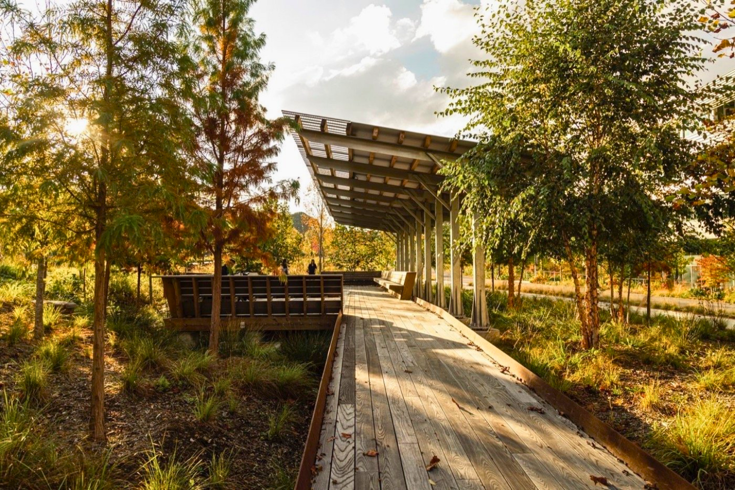 Wooden walkway with a shelter surrounded by trees in a park during fall.