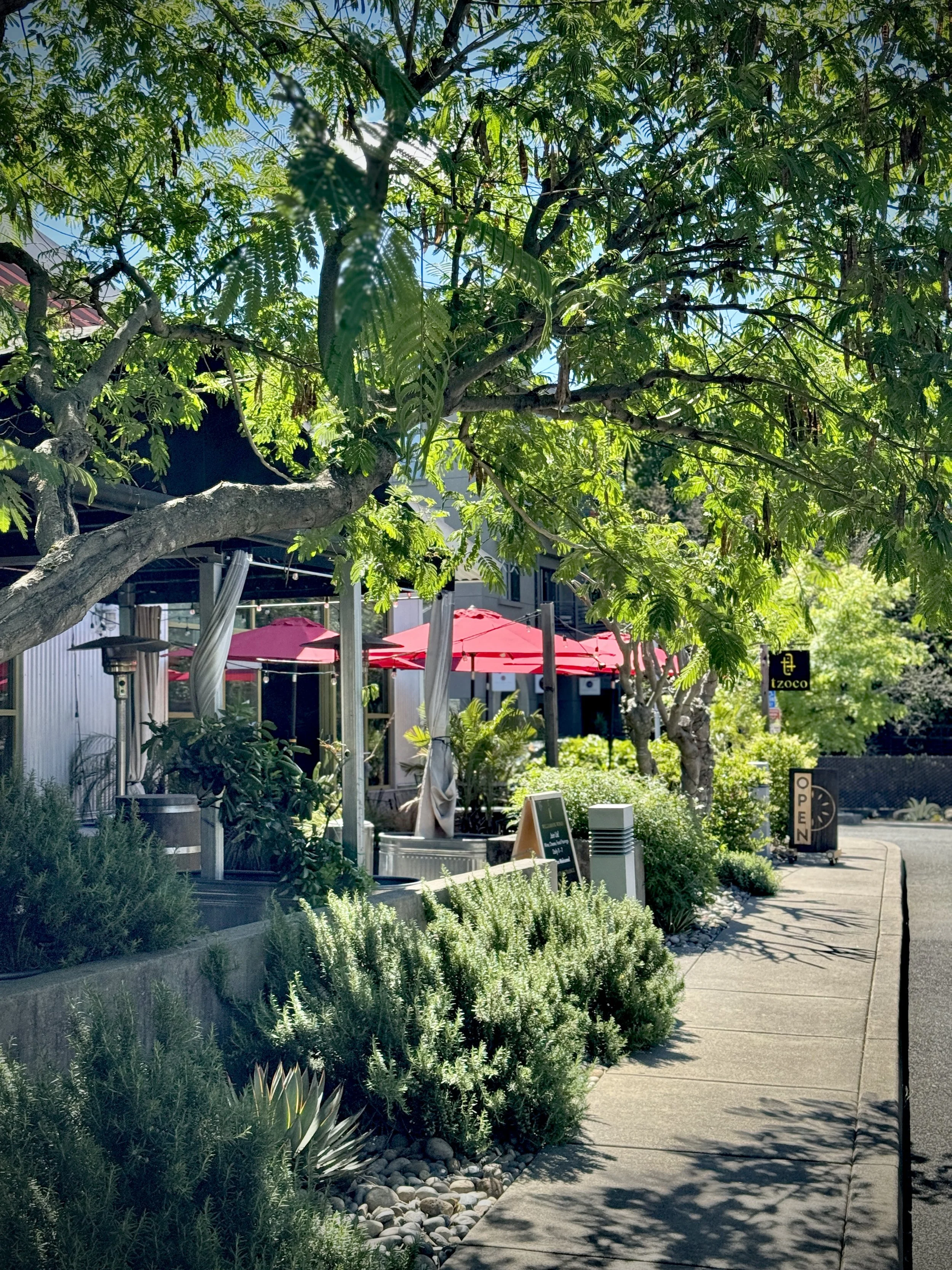 our little cozy corner in Healdsburg