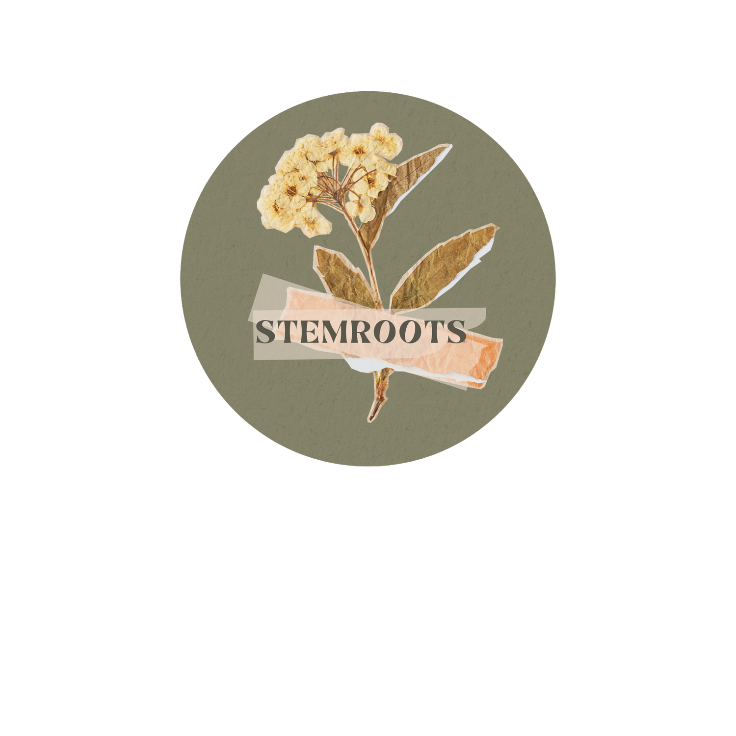 stemroots