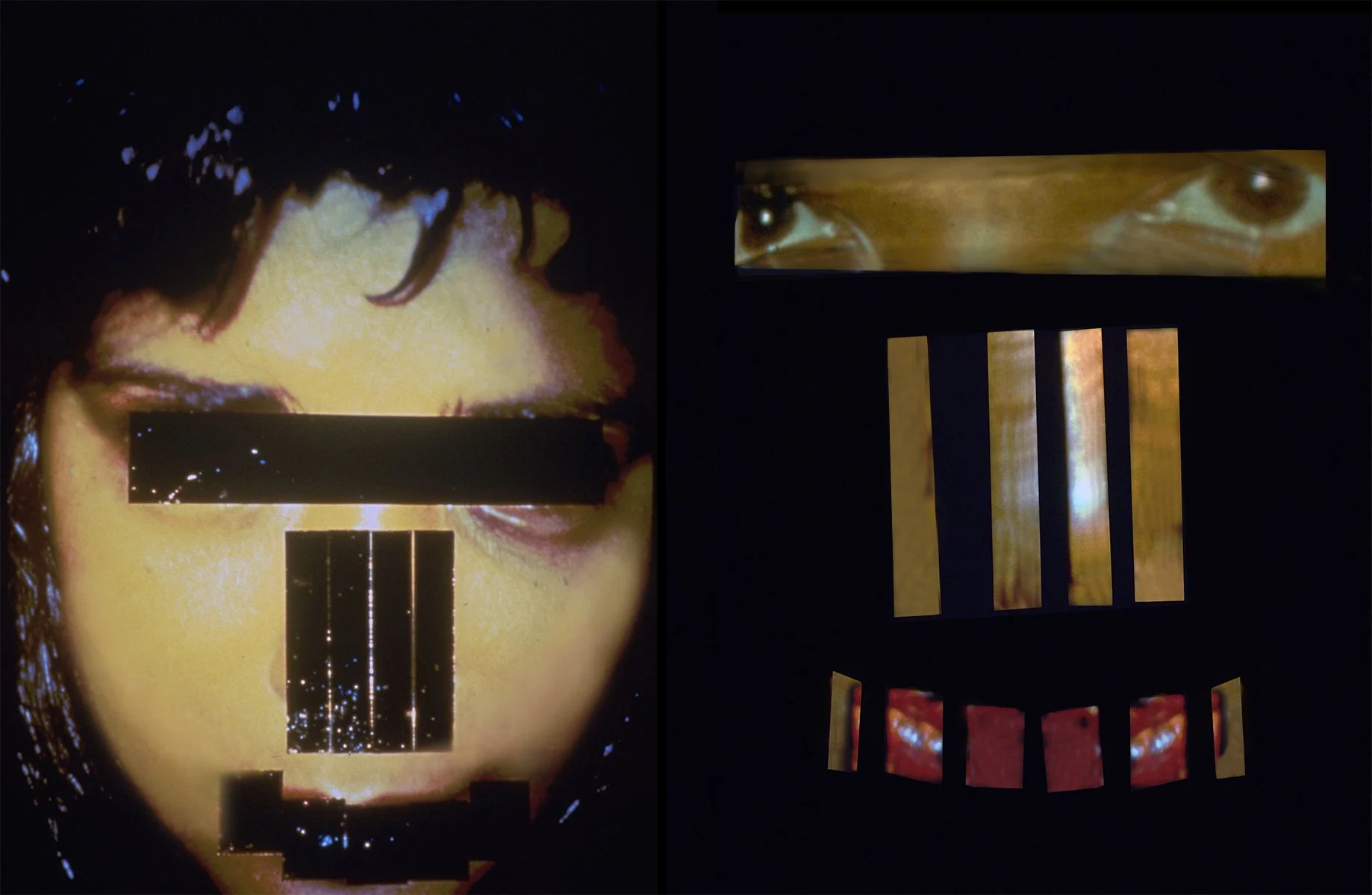 Dismantling_faces 1995 @ Ramona Ramlochand