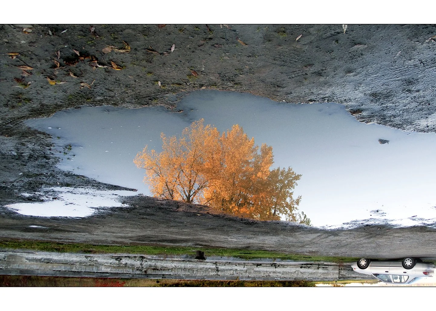 Epson Archival Ink on enhanced matte paper, 30” x 40” (76 x 101cm)