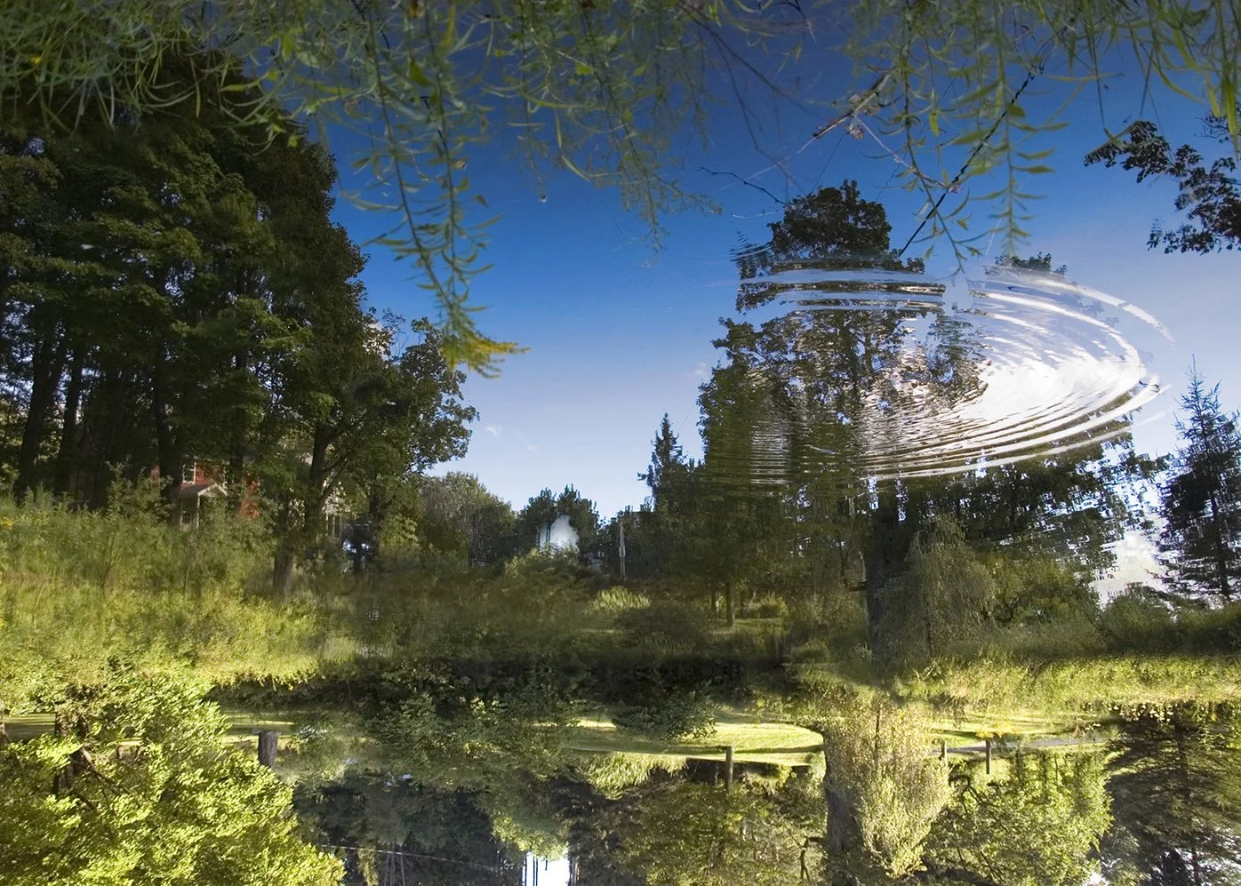 Epson Archival Ink on enhanced matte paper, 40” x 60” (101 x 152cm)