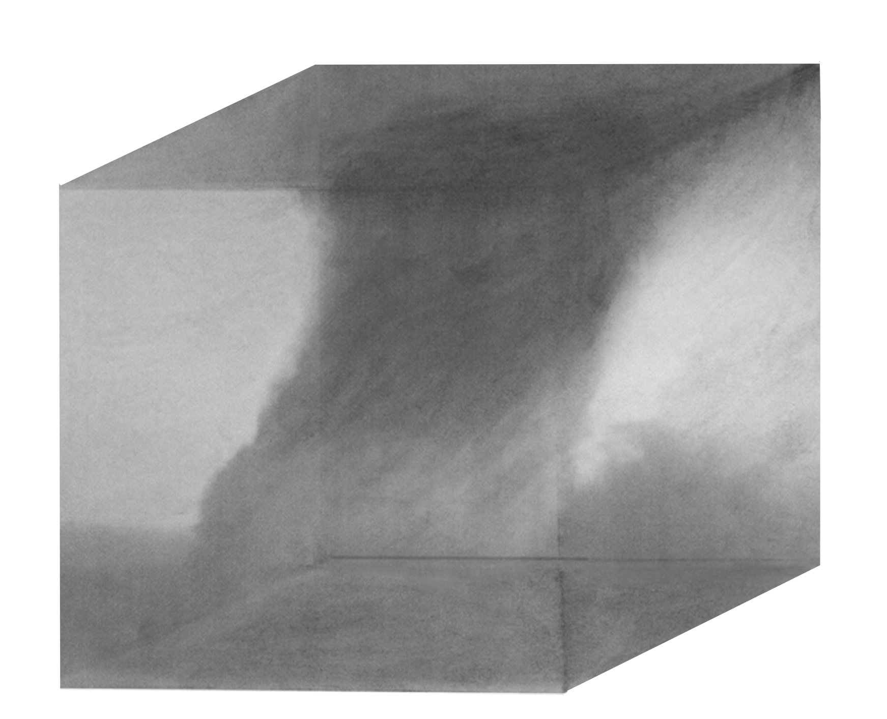 Ink, charcoal, pencil and vellum, 20” x 20” (50 x 50cm)