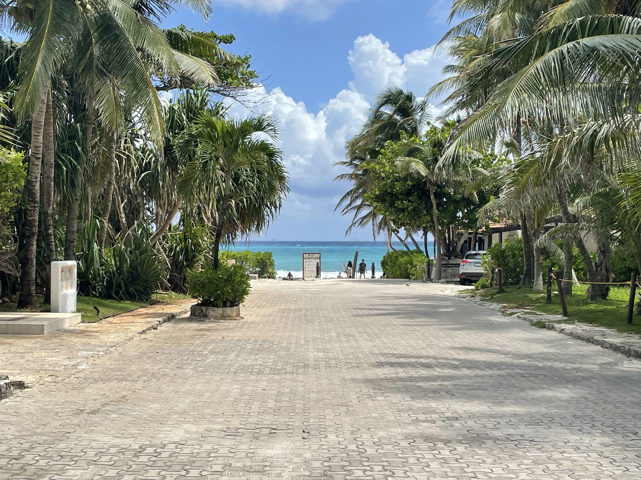 Paved pathway surrounded by palm trees leading to a beach with turquoise water and cloudy sky in the distance, with people walking toward the beach.