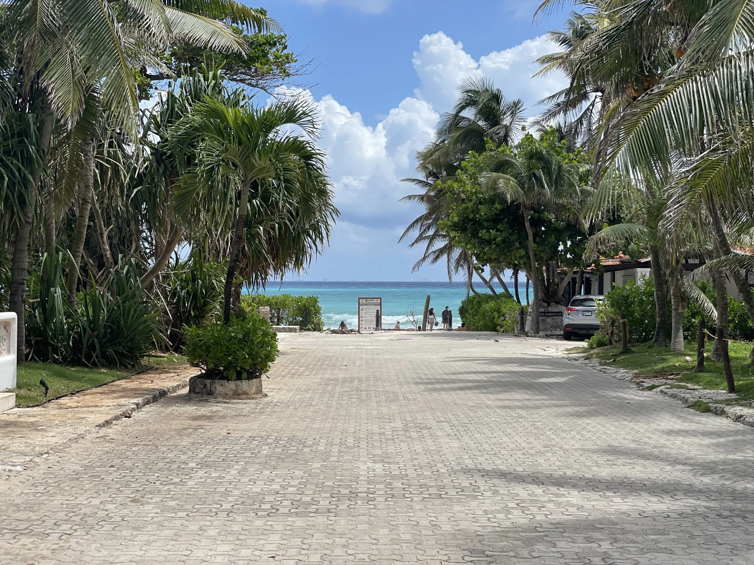 A paved pathway leading to a beach with turquoise water, palm trees on either side, and a few people near the shore under a partly cloudy sky.